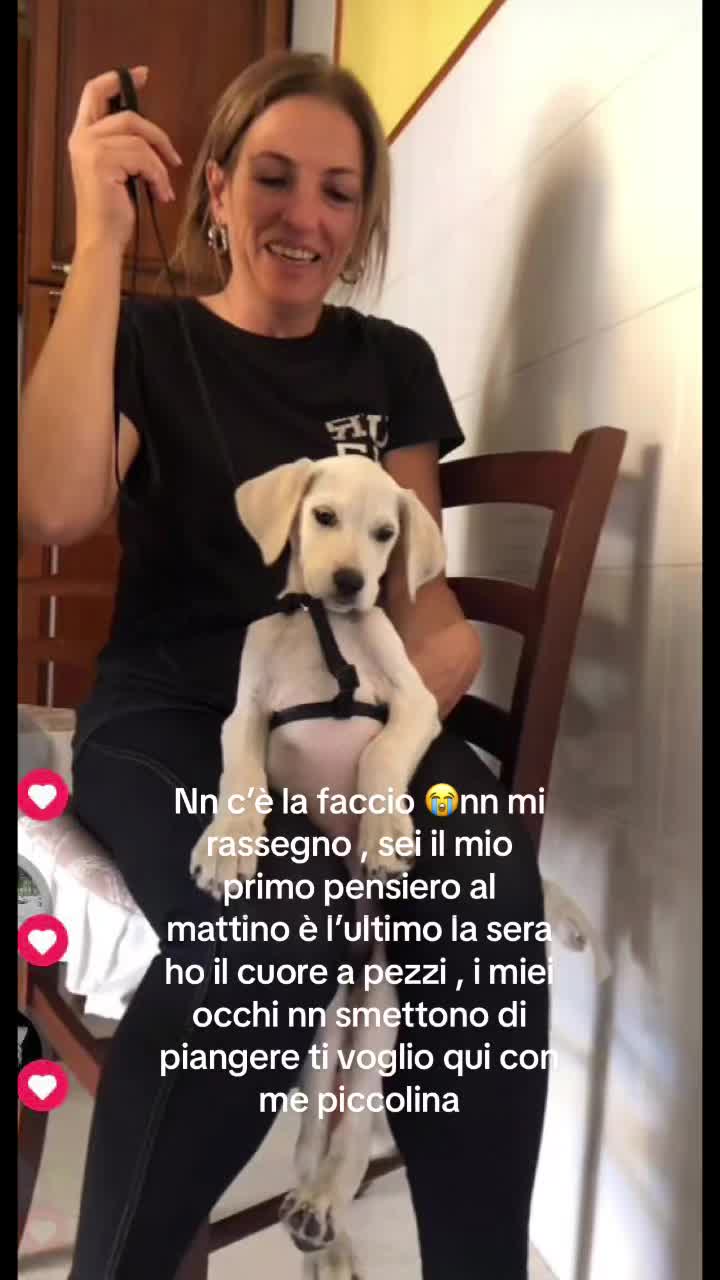 @Cristina Grazioli