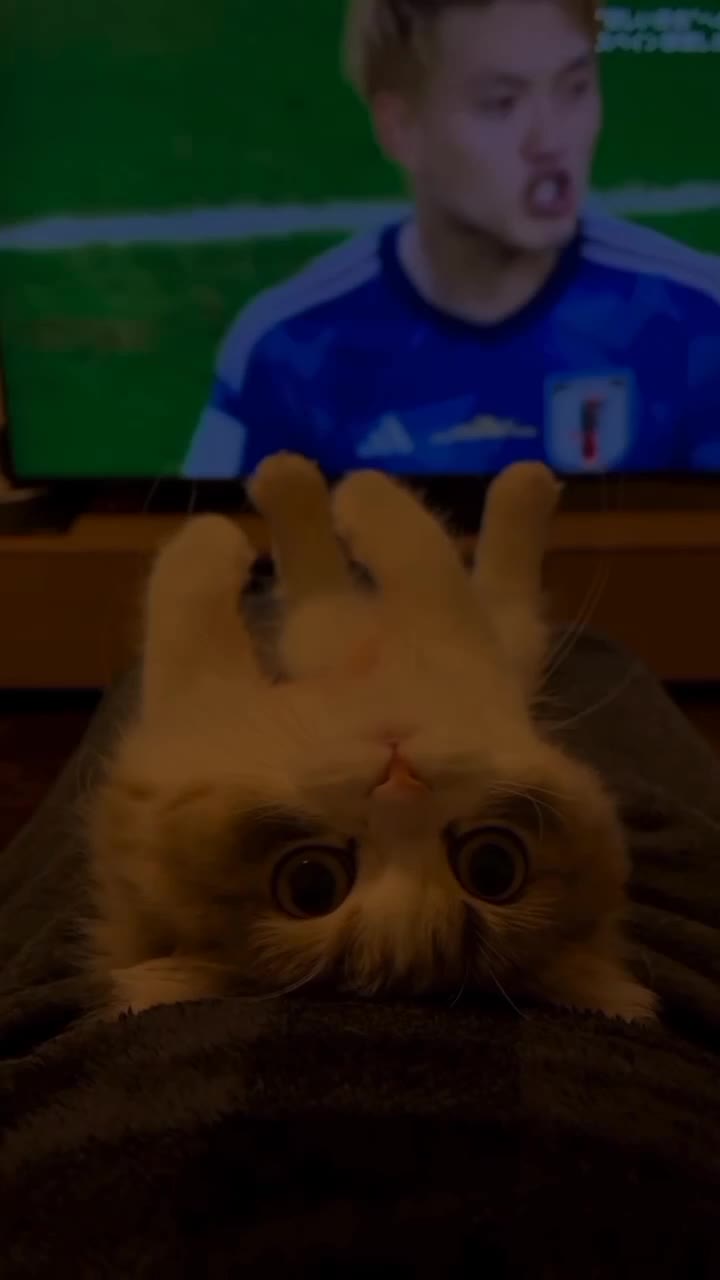 @່່່