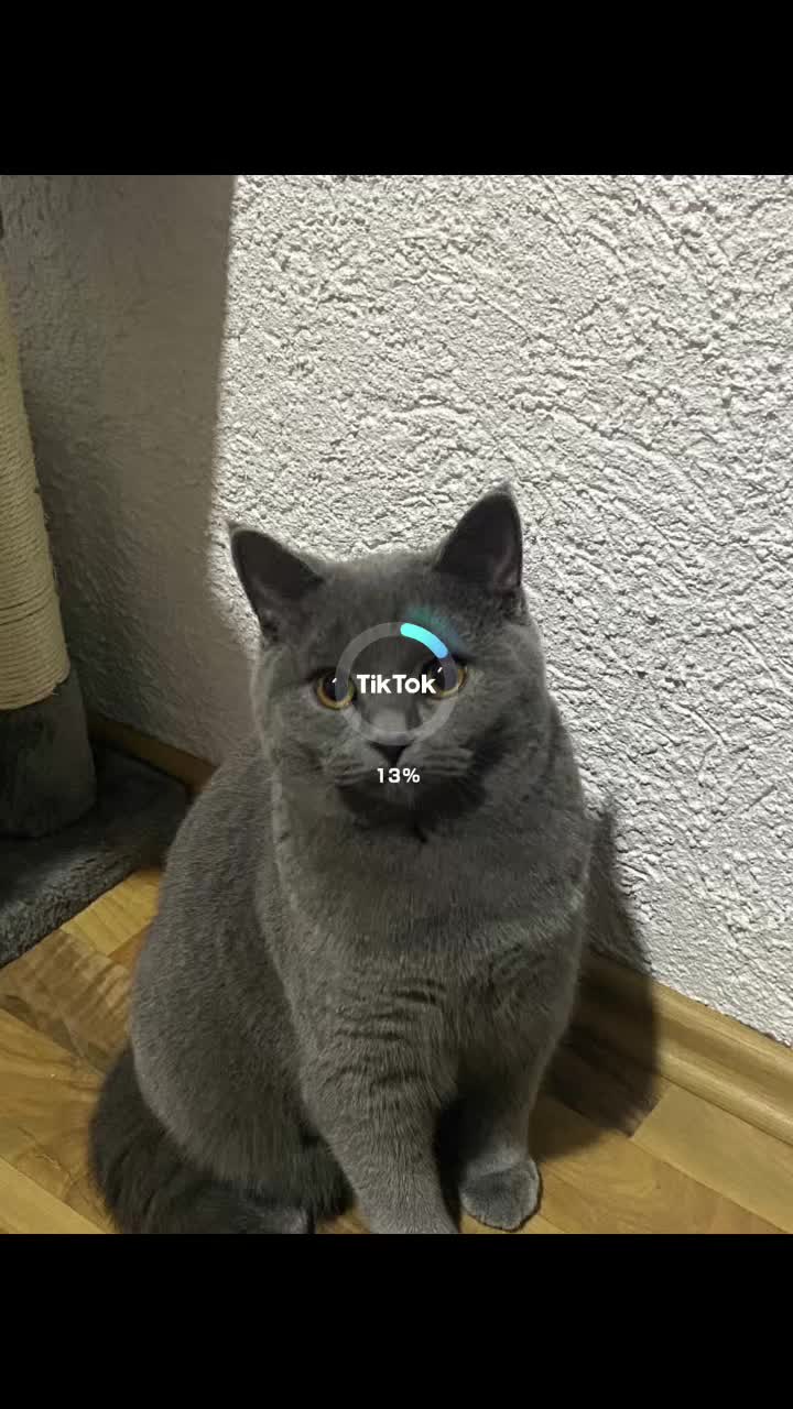 @🤙🏻🤙🏻