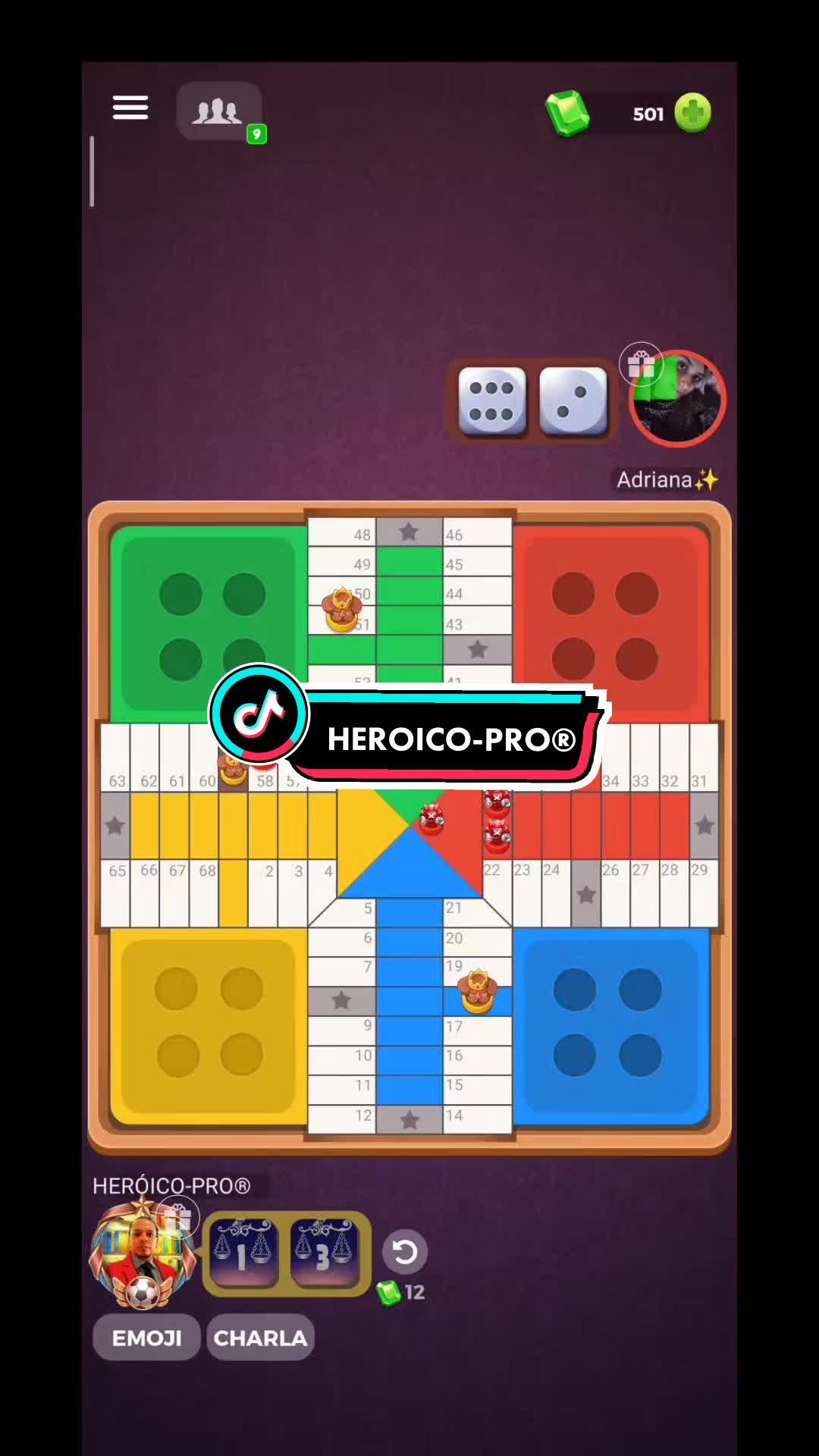 @HEROICO-PRO&reg;🥏