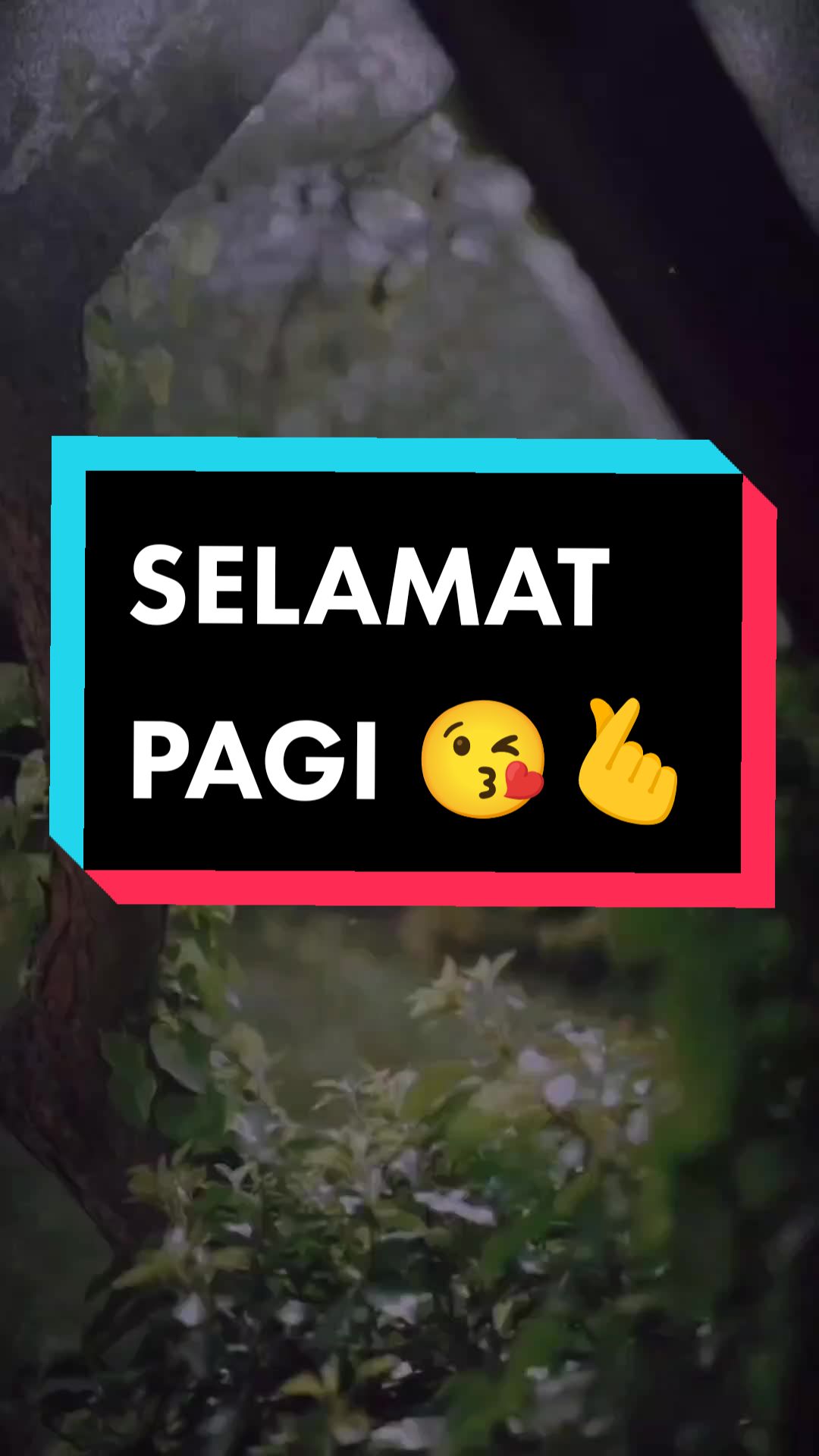@LeeFazlee