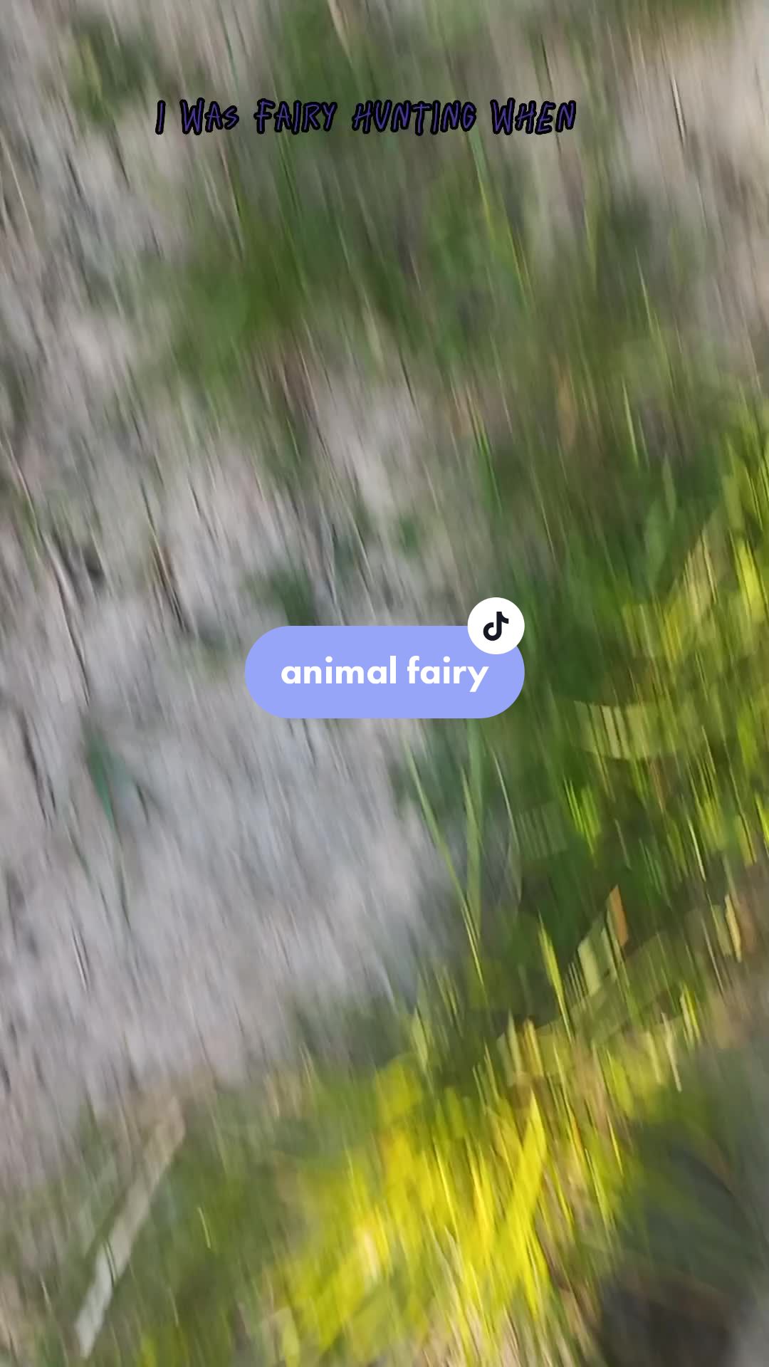 @▪︎fairy hunter▪︎