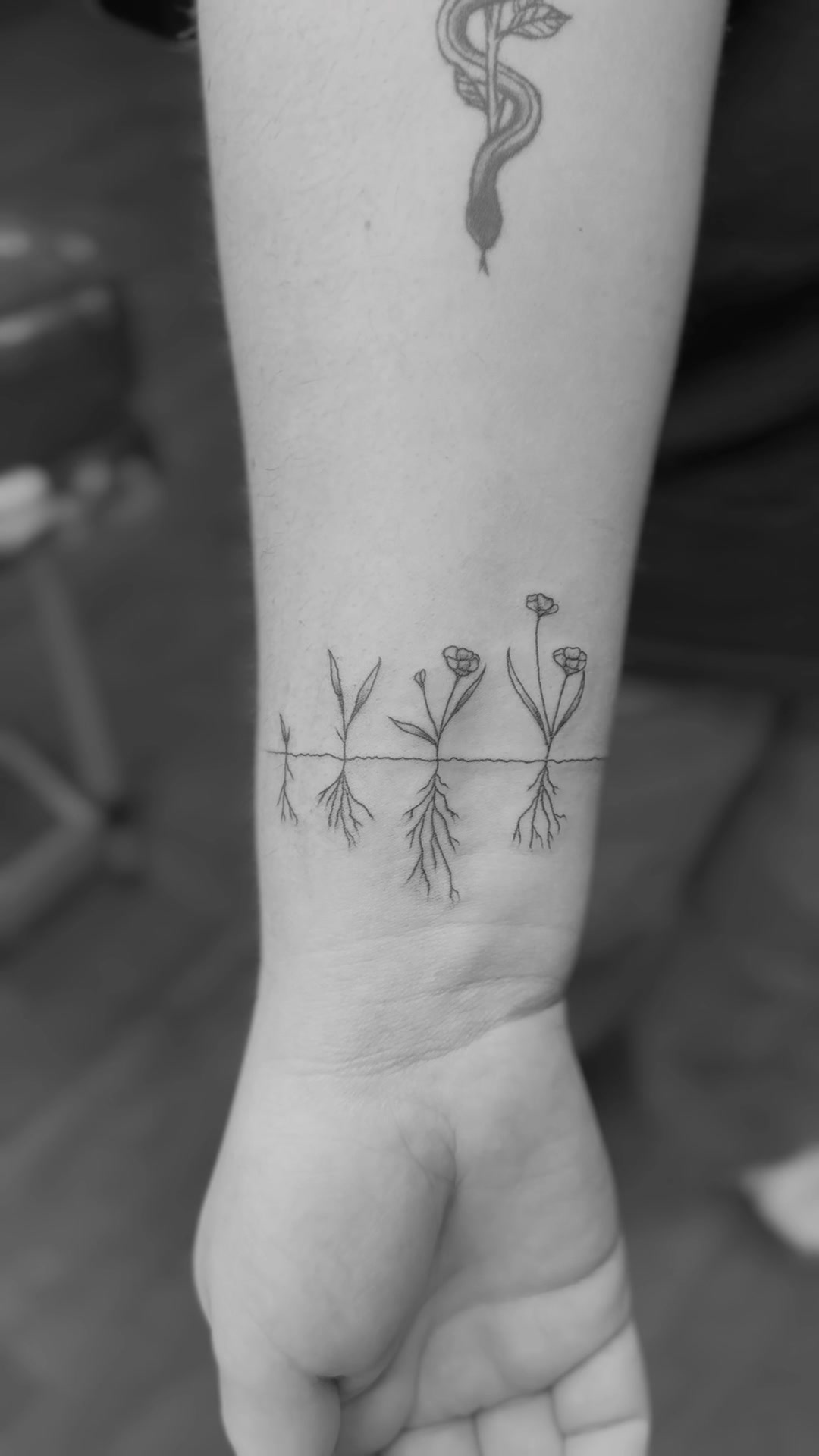 @Apanui.ink