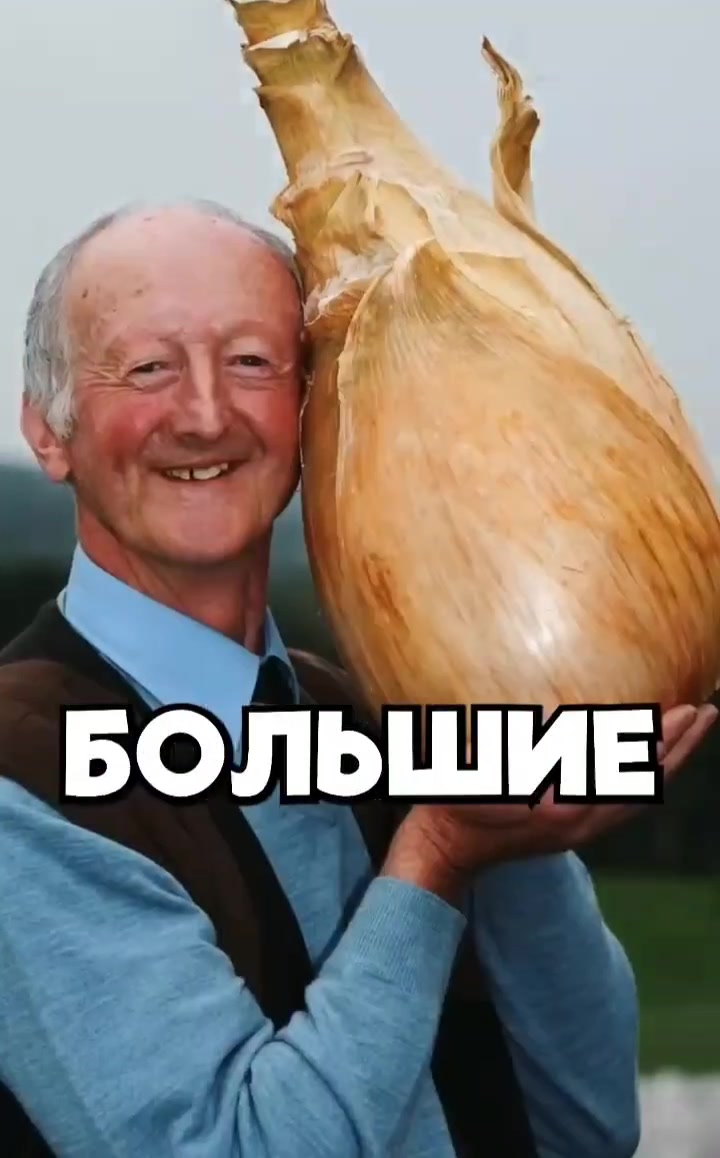 @the best video