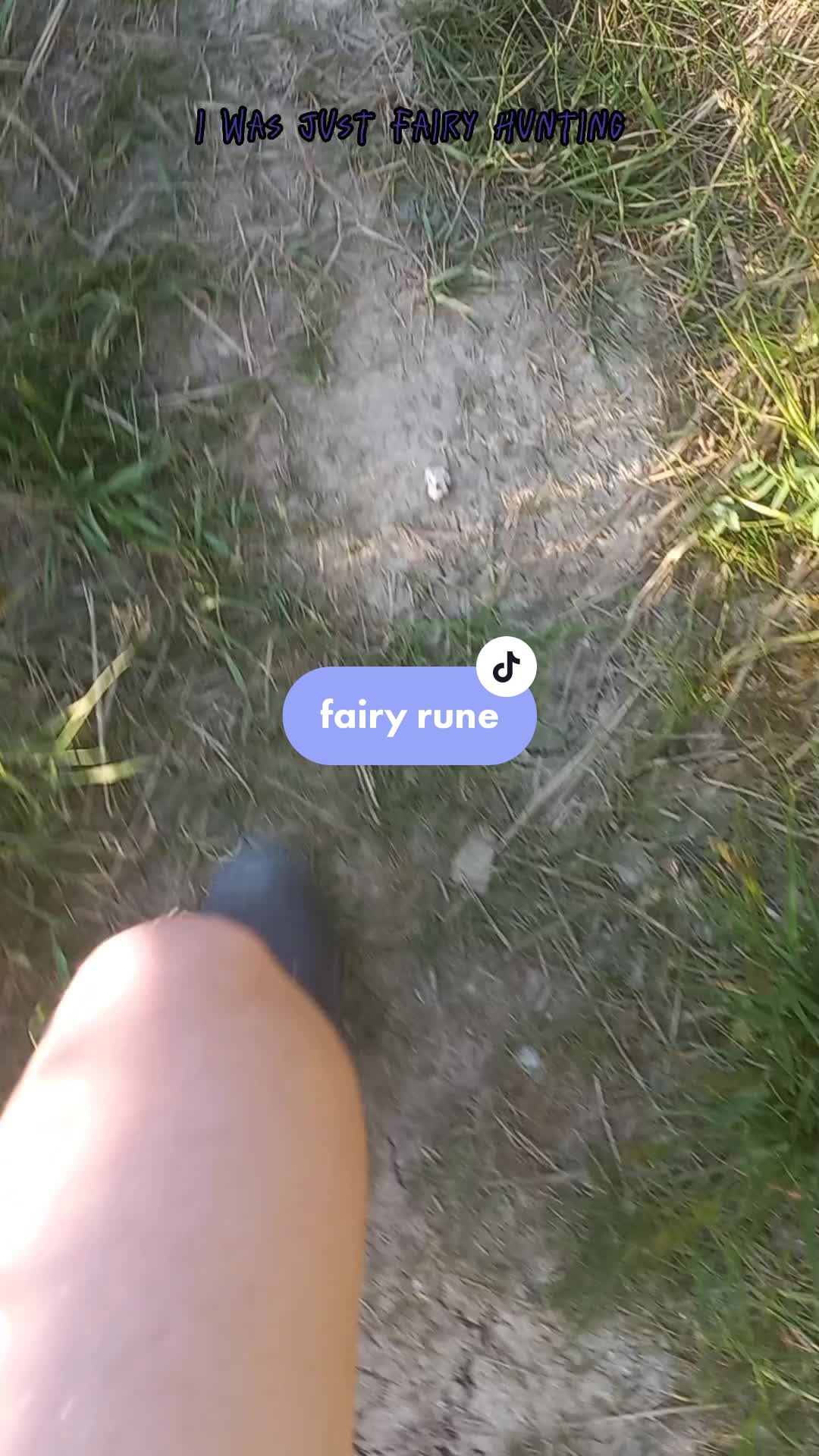 @▪︎fairy hunter▪︎