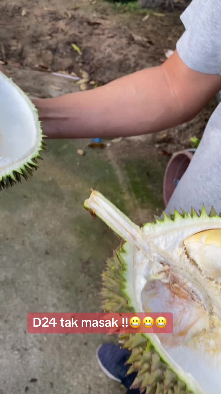 @Durian King Kaki
