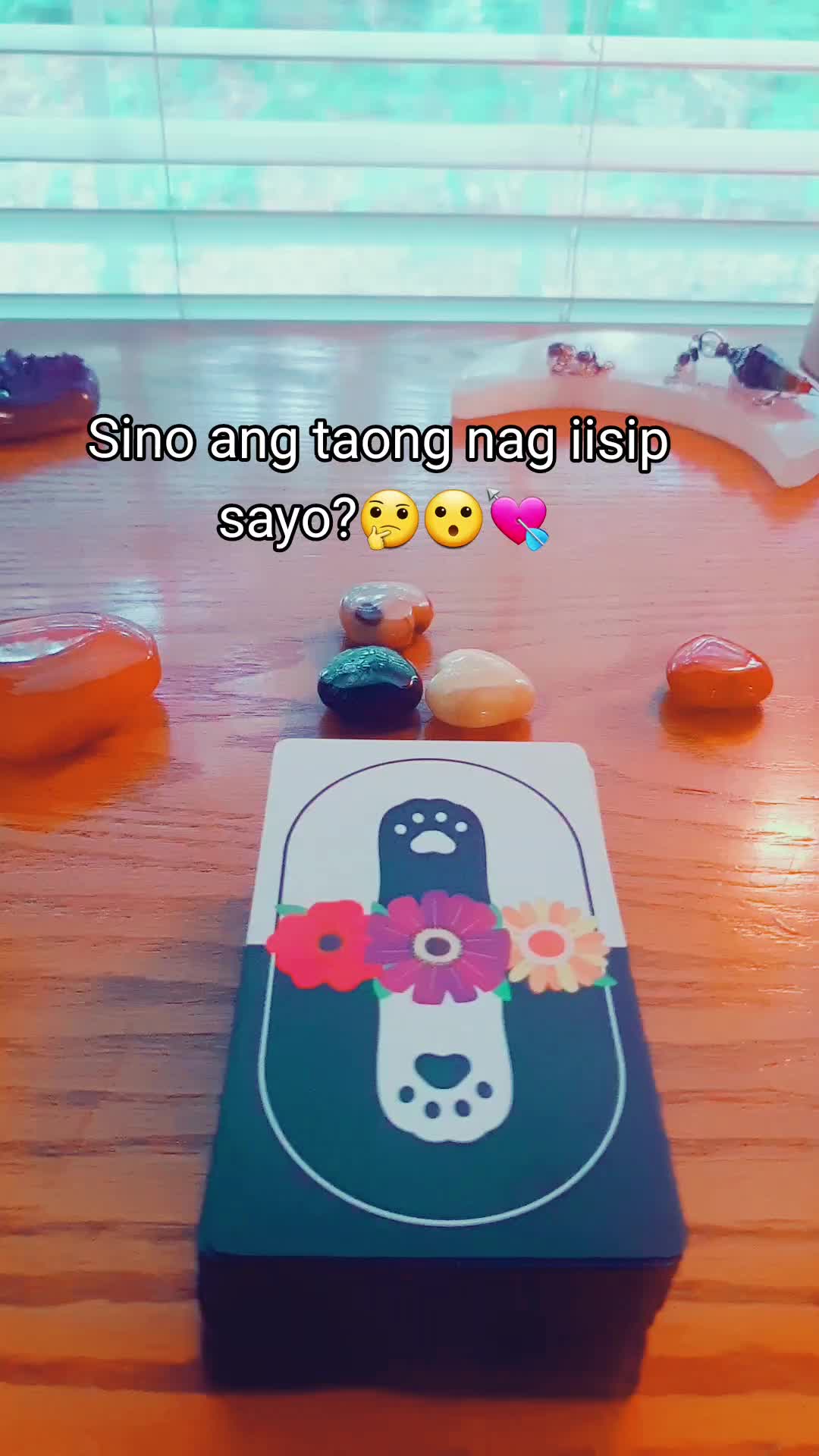 @thetarotreader11.11