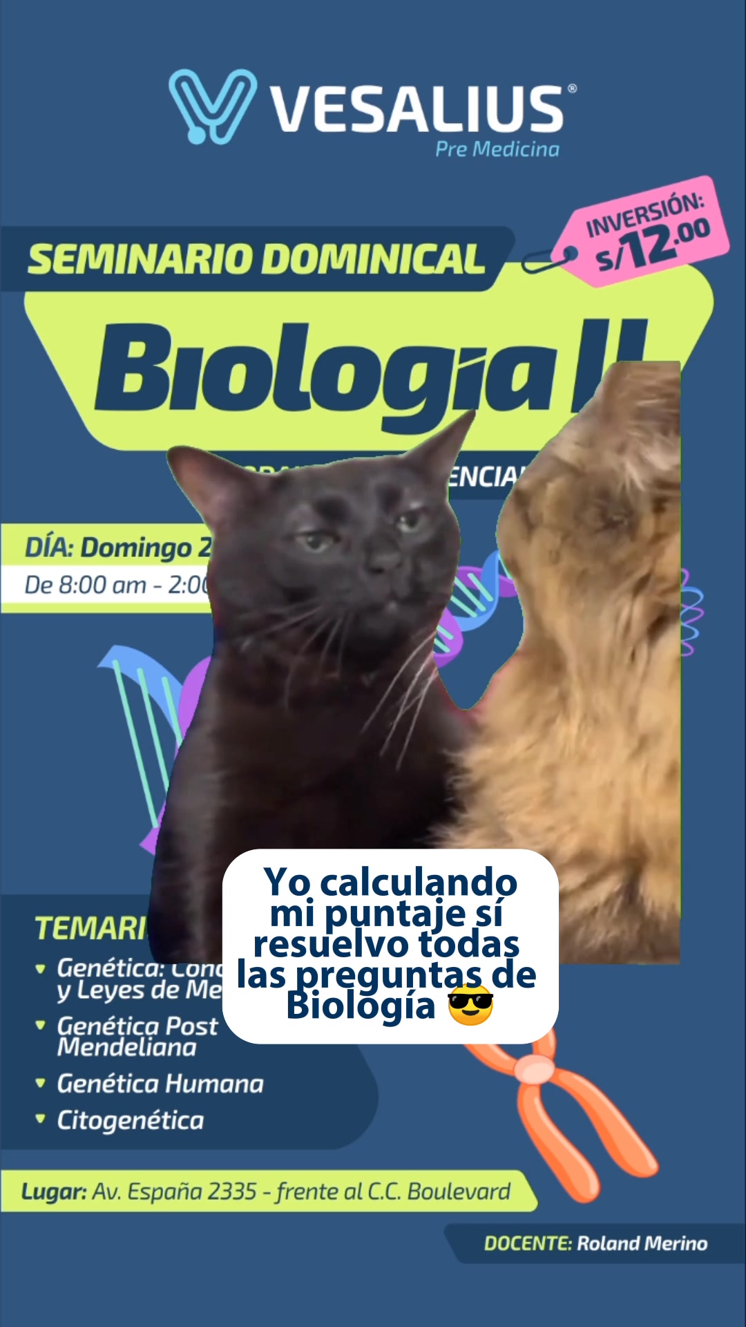 @Vesalius Trujillo