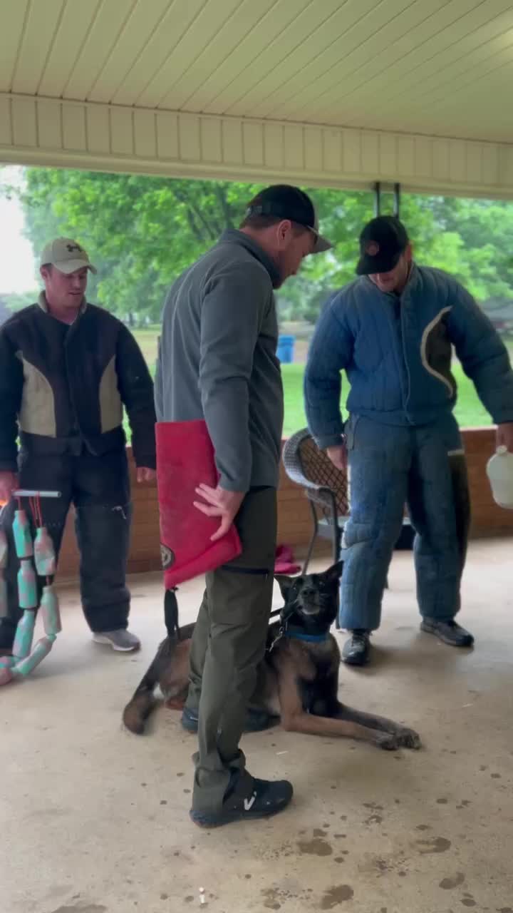 @Ncringdogs