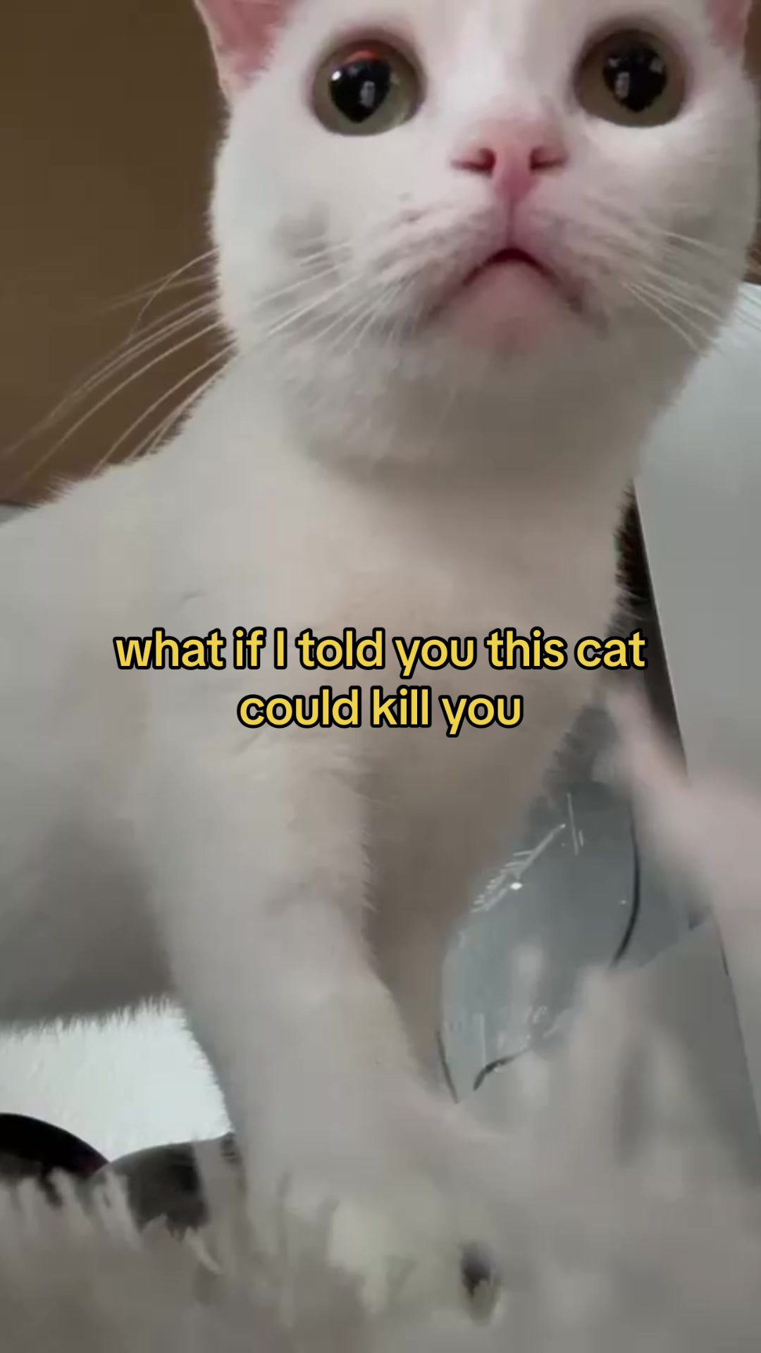 @Adela