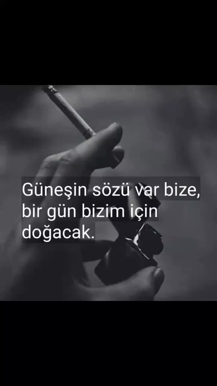 @hevidar01