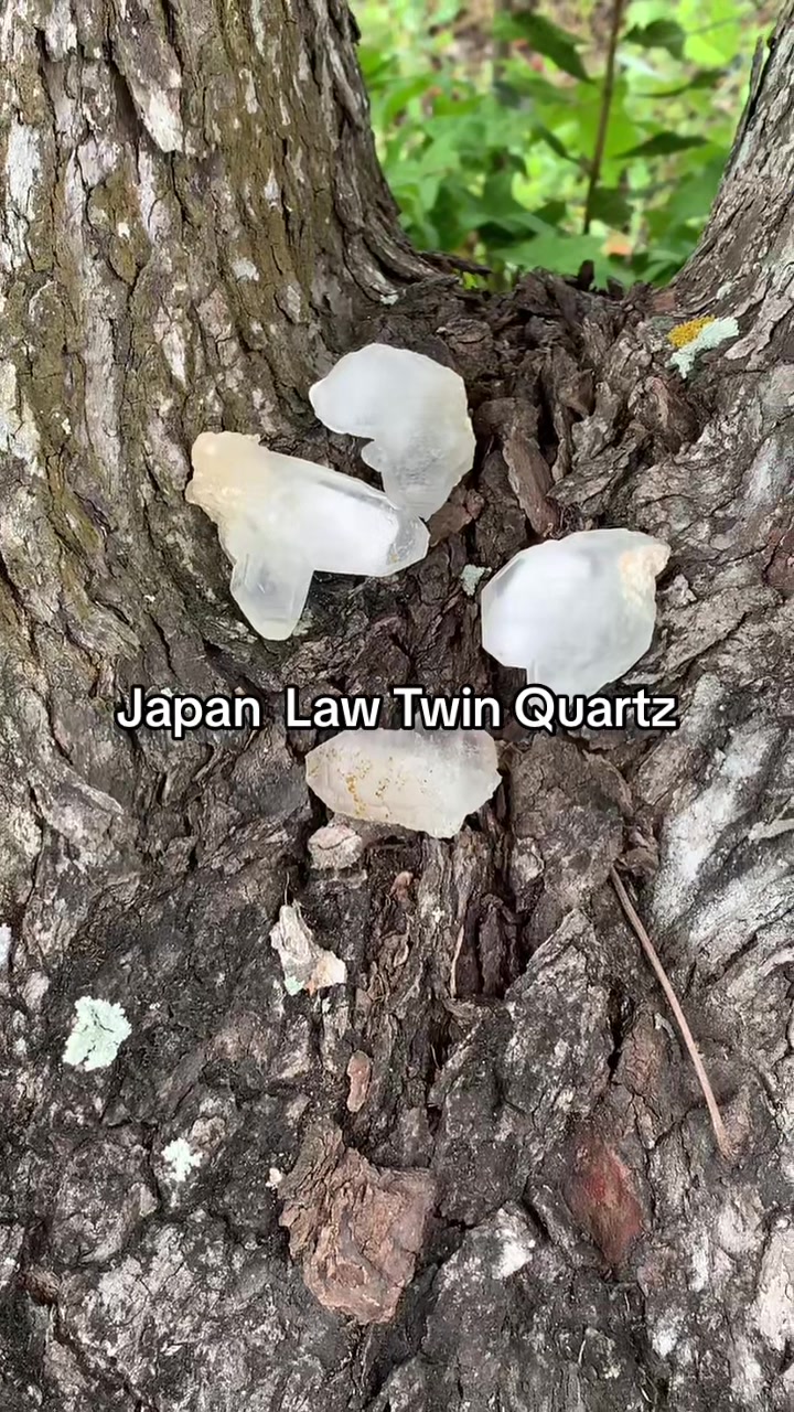 @GifuCrystal&Art