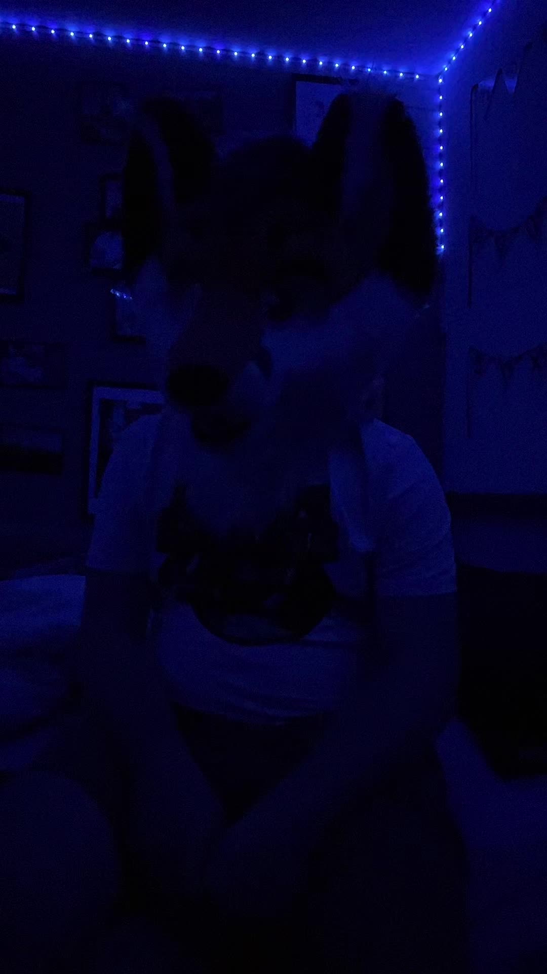 @StripeDaFox