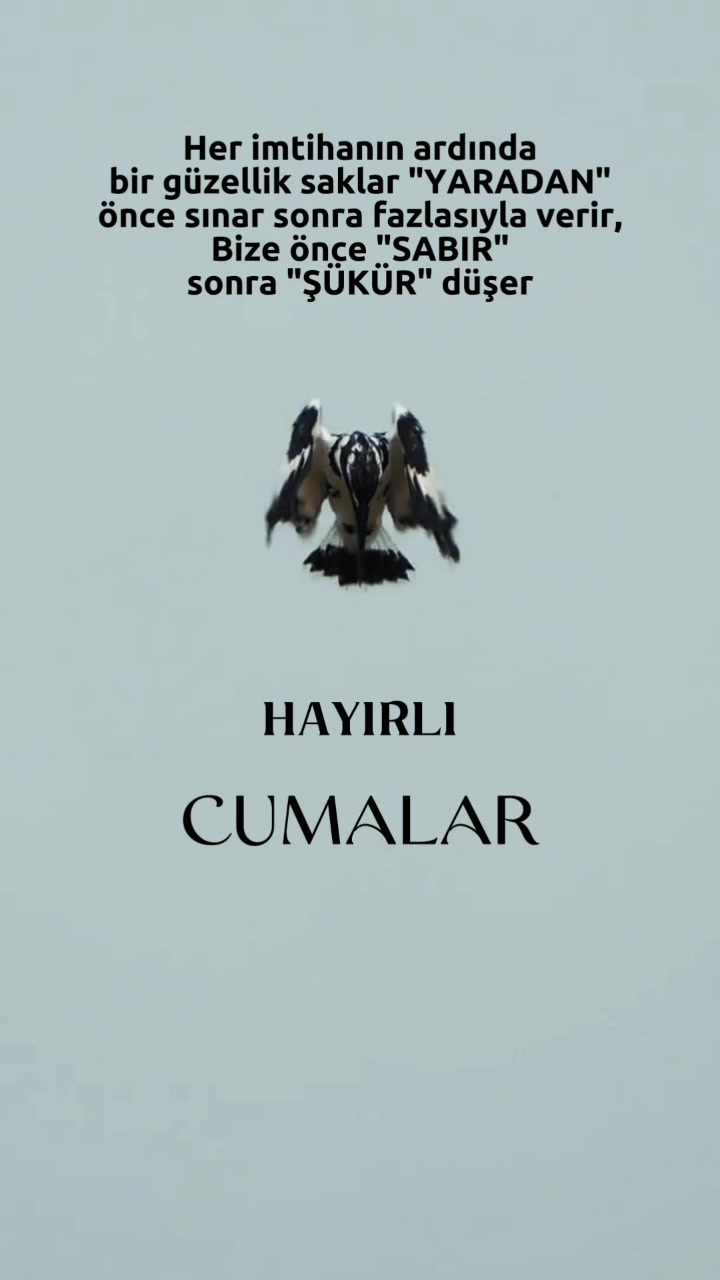 @KONUŞAN YALNIZ HAKİKATTIR