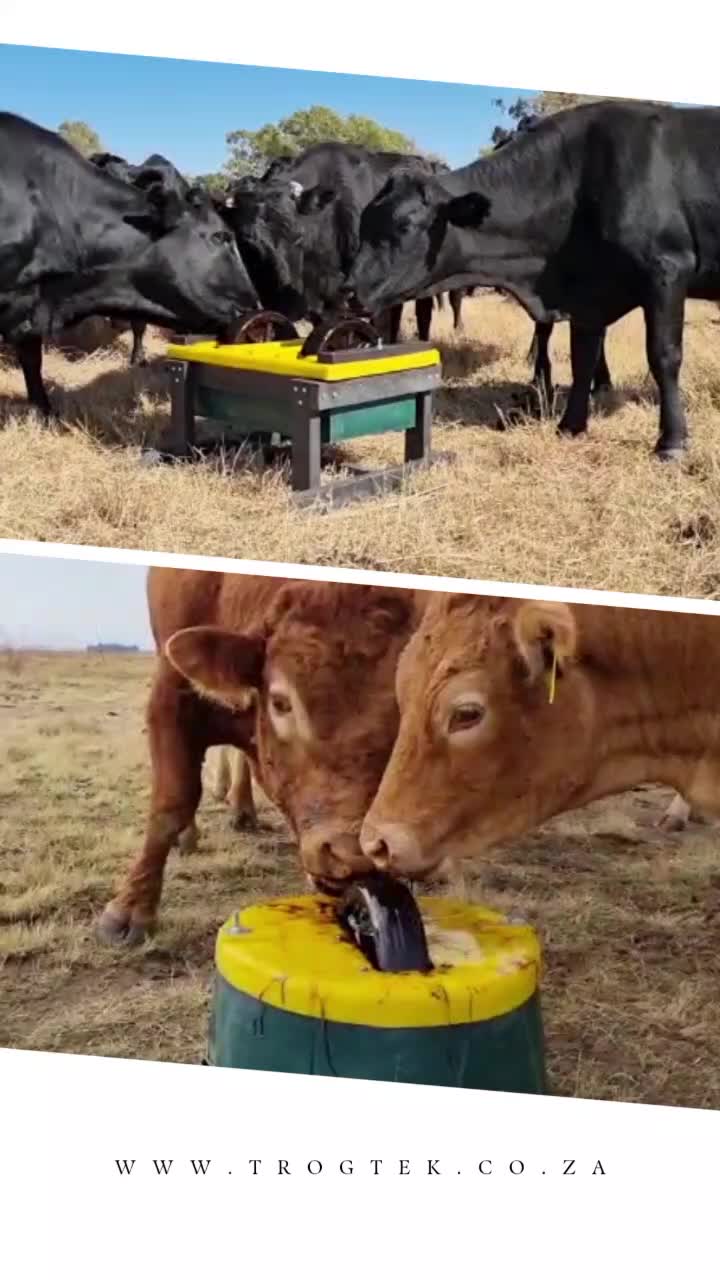 @Trogtek