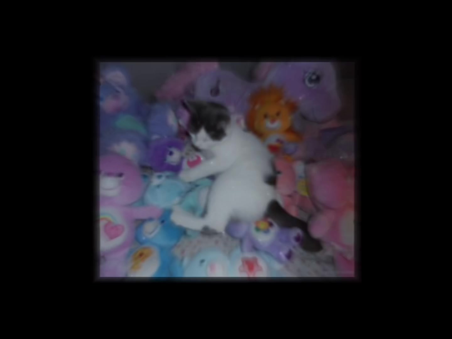 @cat :>