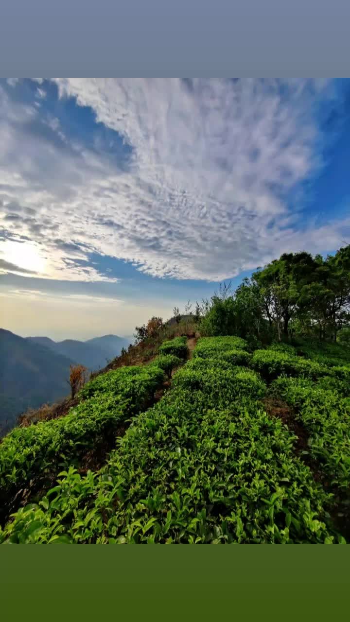 @akhilraj9752