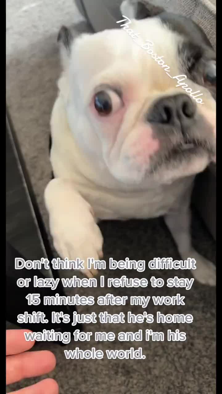 @That_Boston_Apollo
