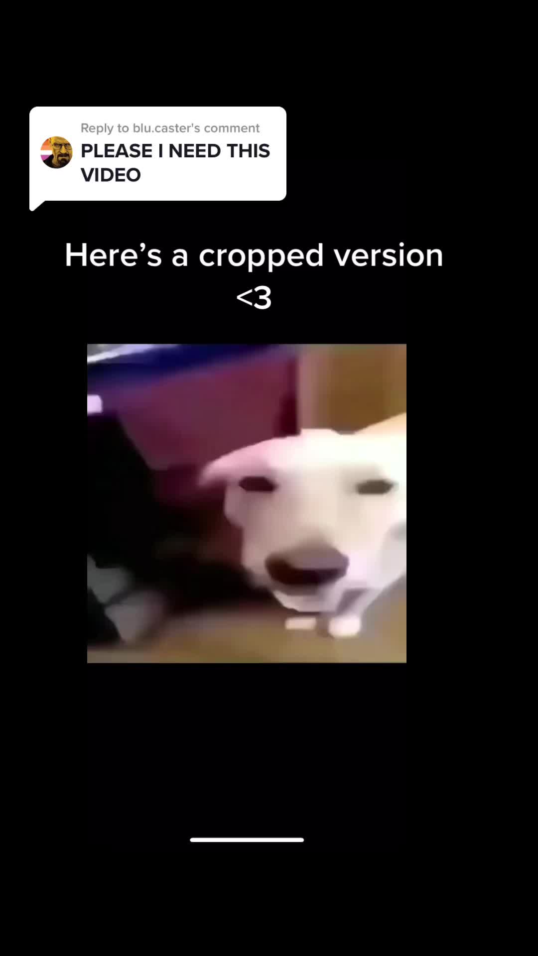 @🍂 🐈&zwj;⬛ 𝔼 𝔻 𝔼 ℕ 🐈&zwj;⬛ 🍂