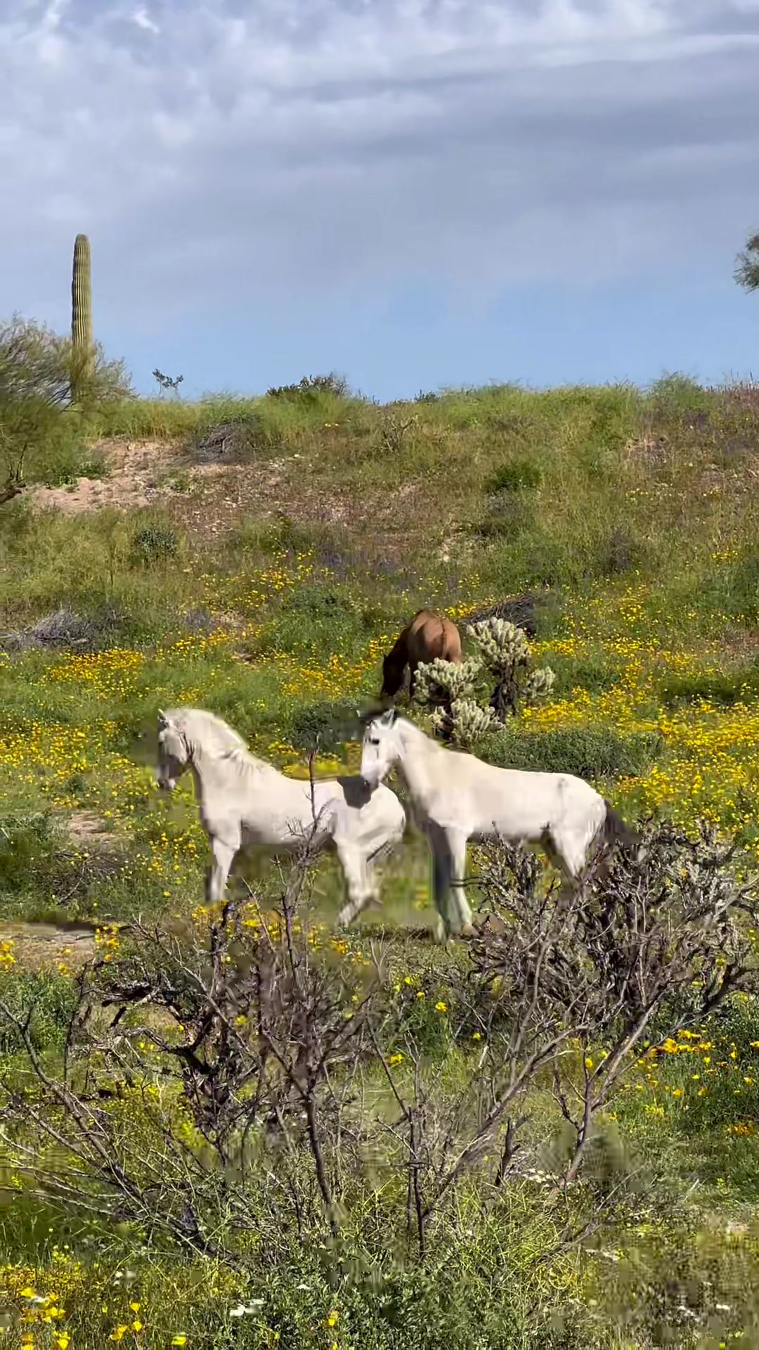@ASMR Nature Love