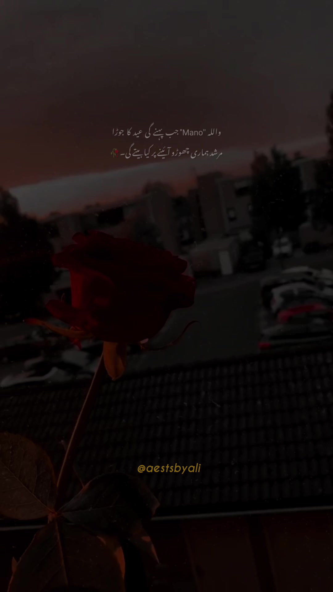 @A͢ℓ𝐞𝐞ʏ-.•🩶🪽