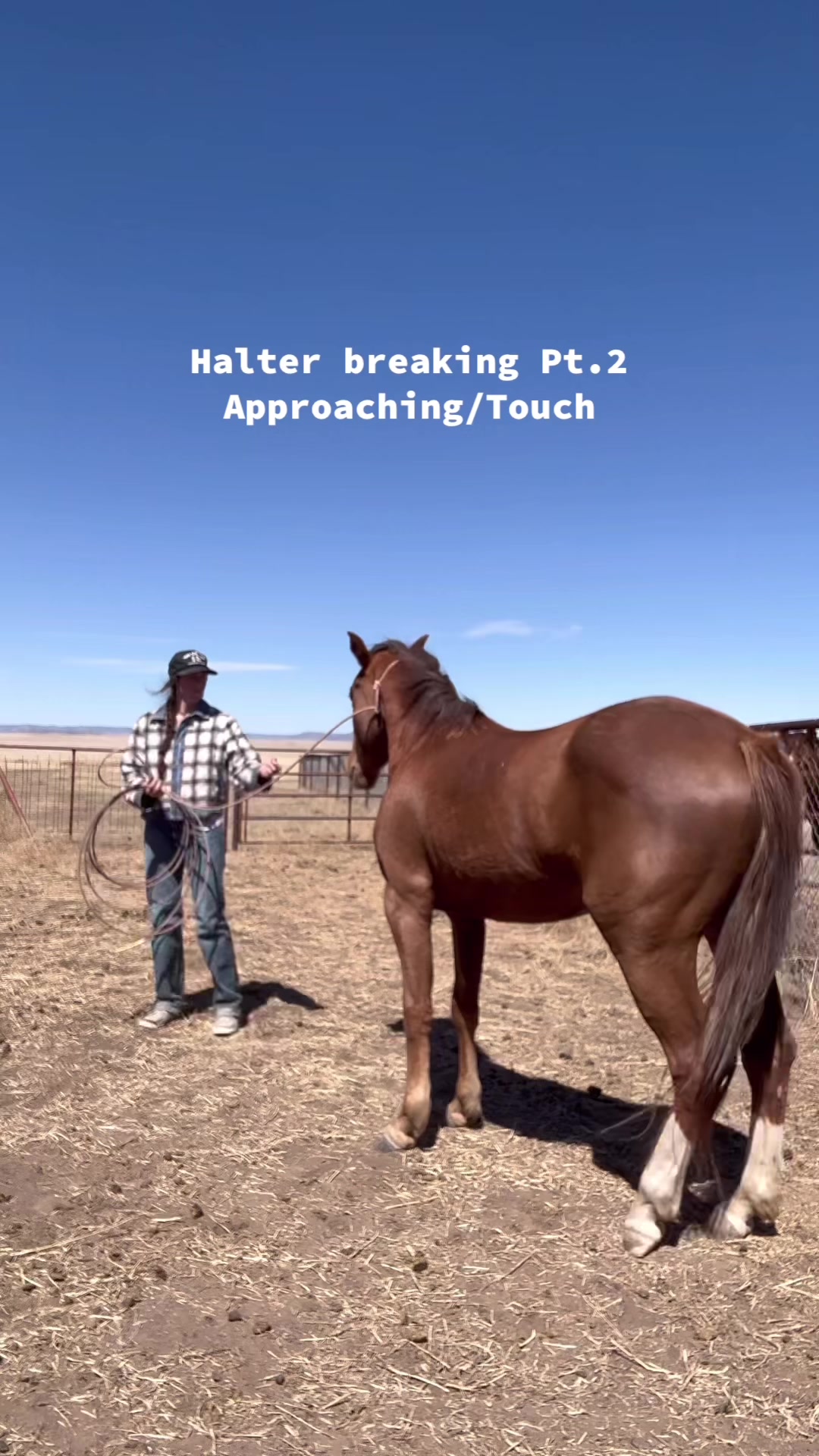 @cowgirlcommentary