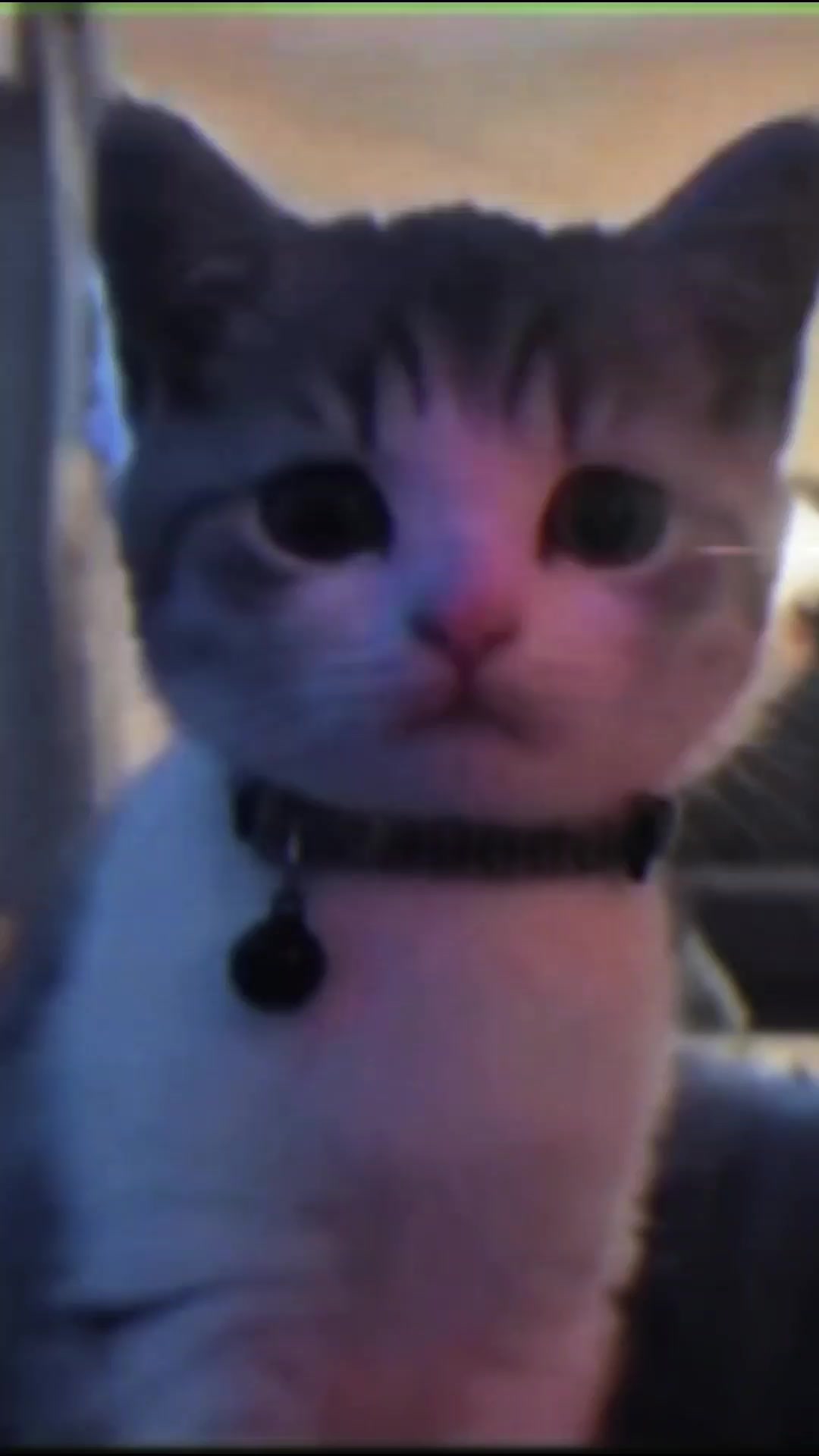 @๐ซ๐๐๐๐ฎ๐ฅ๐๐ซ