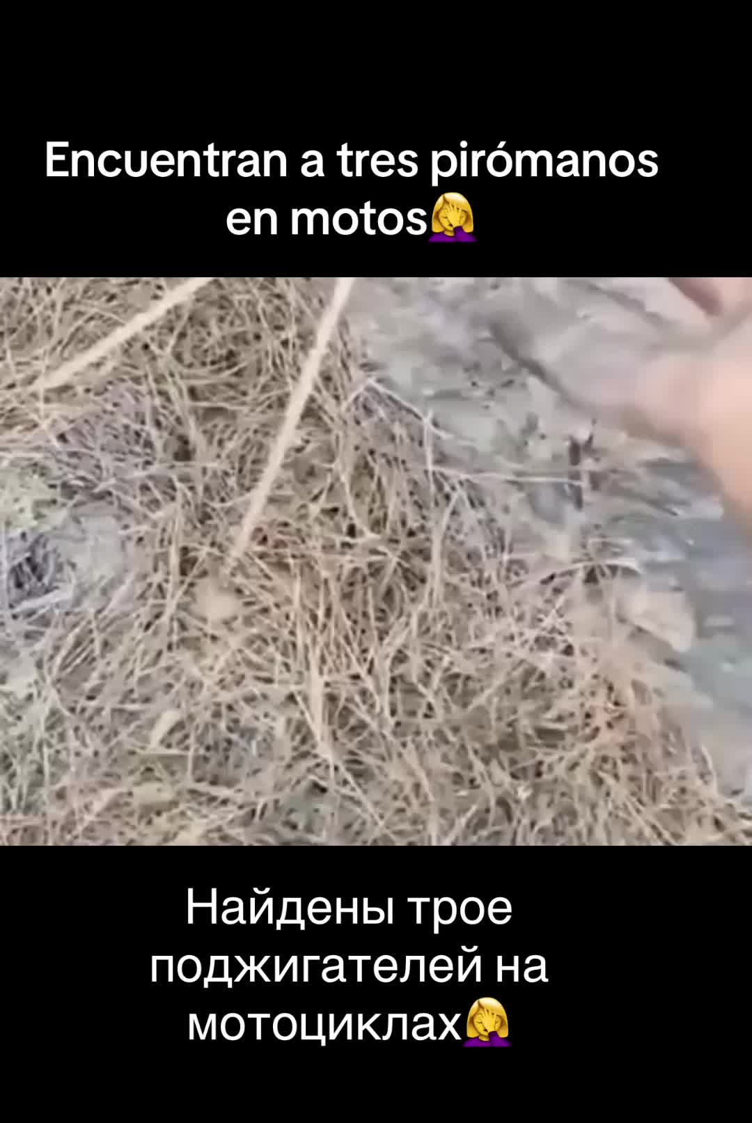 @Elena Maks
