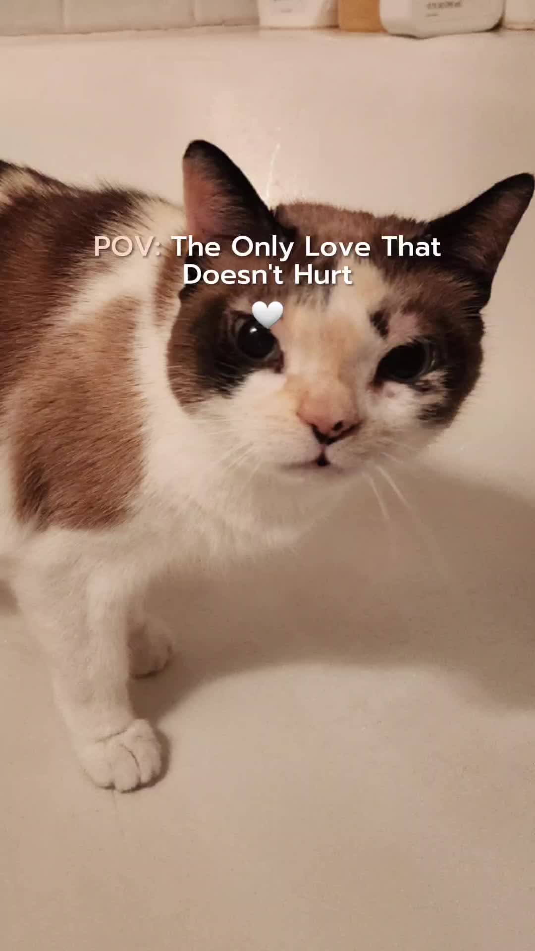 @Brittany