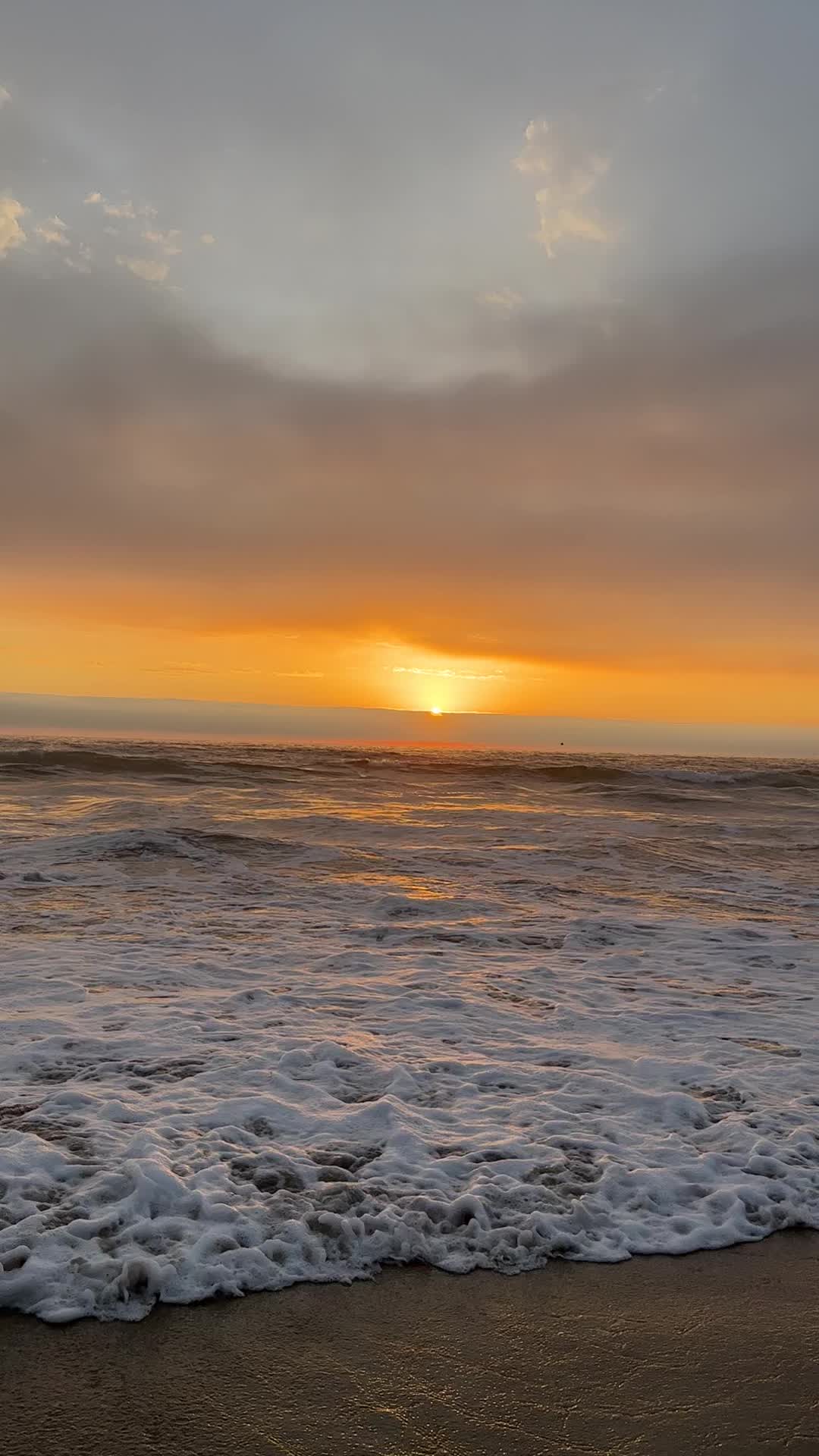 @Dancarrillophoto