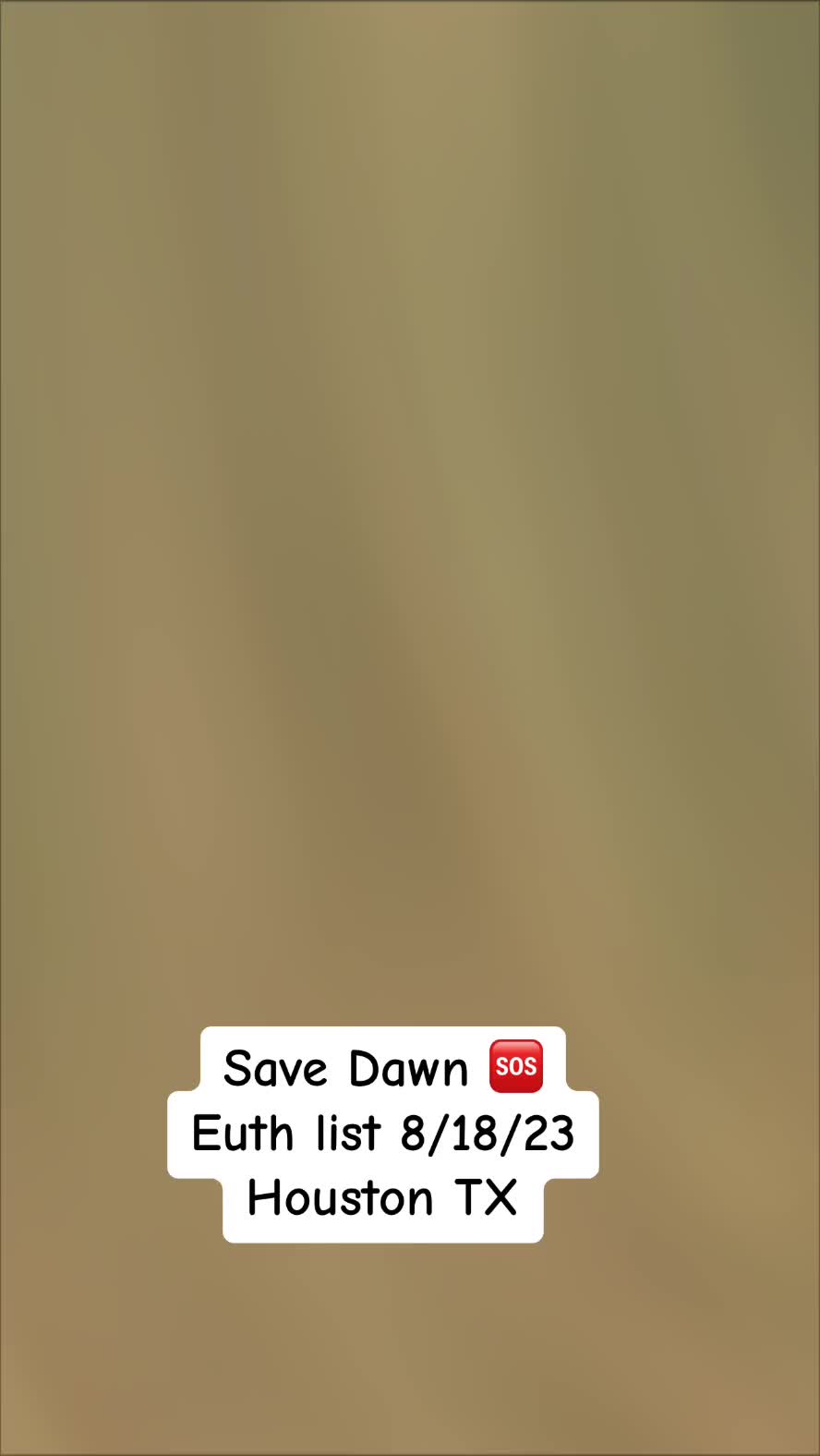 @Save the dogs 🐶