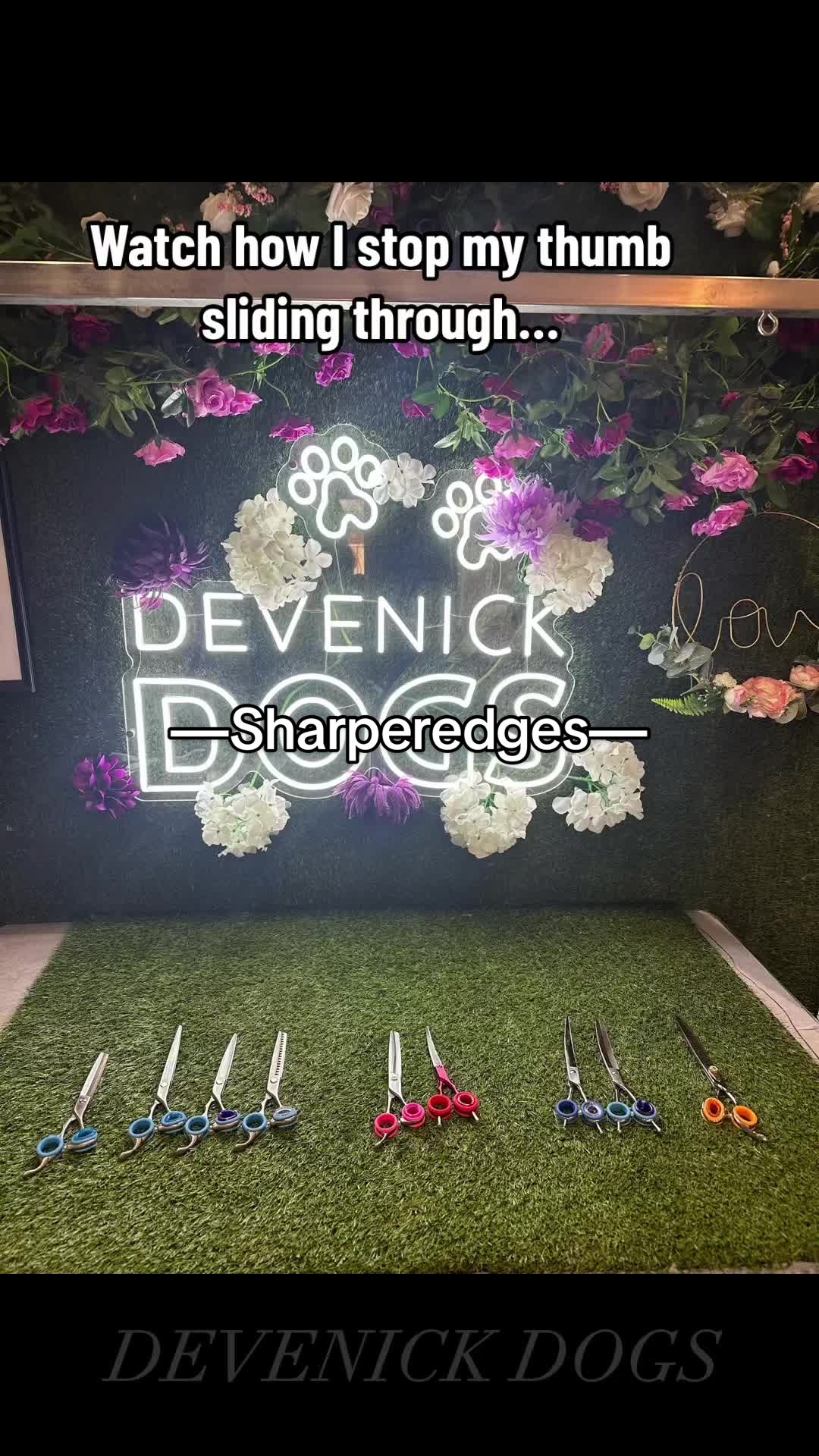 @DevenickDogs