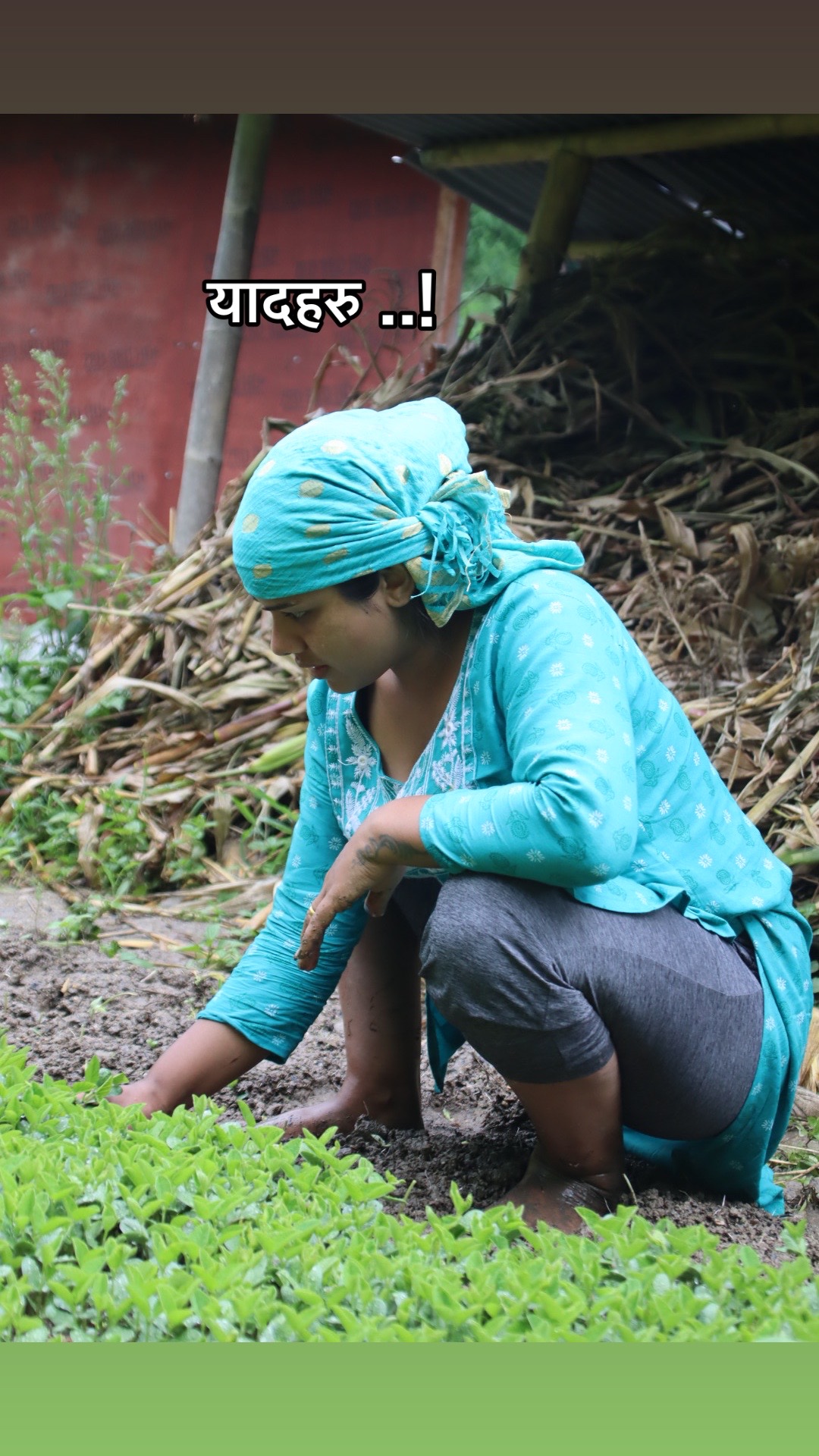 @ramila5015