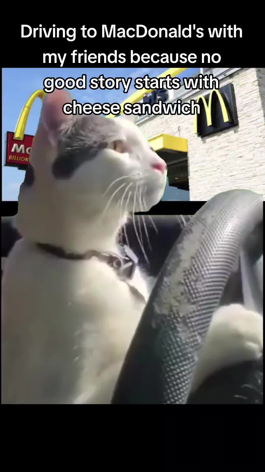 @AnytimeAnywhereComedy