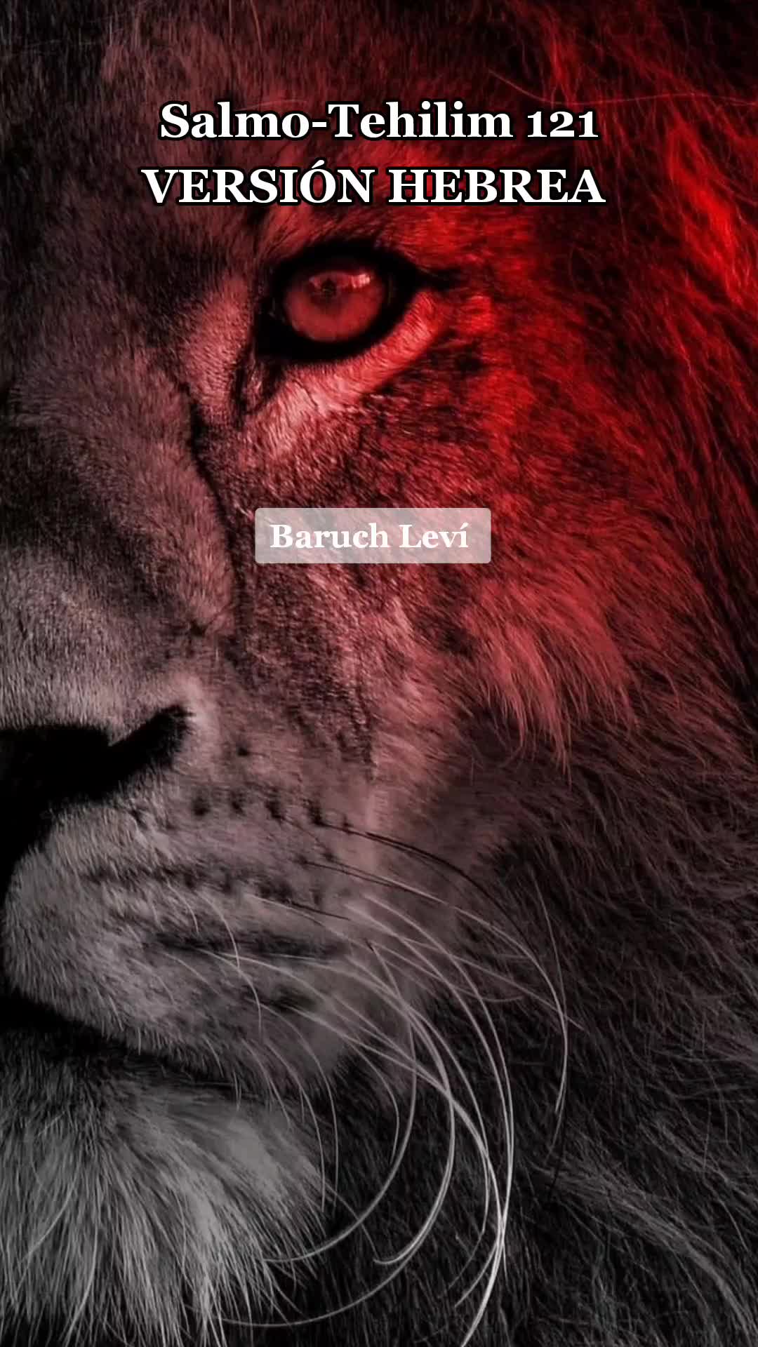@Baruch Lev&iacute; ✡︎