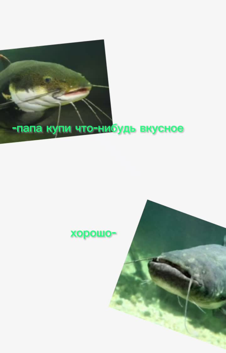 @COMUK_O