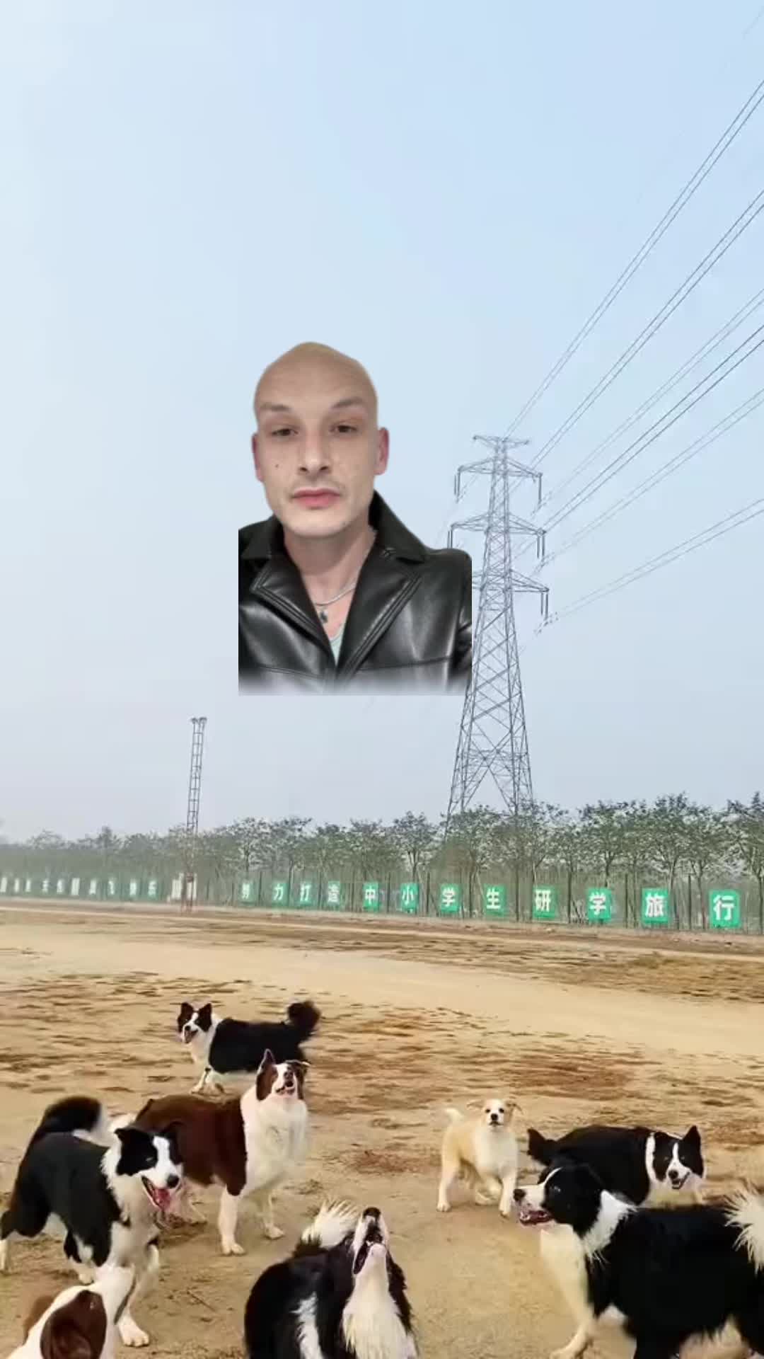 @bald george daniel