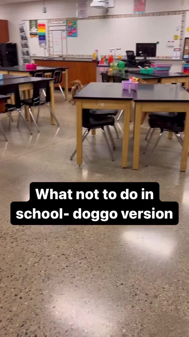 @Emmie & Maisie
