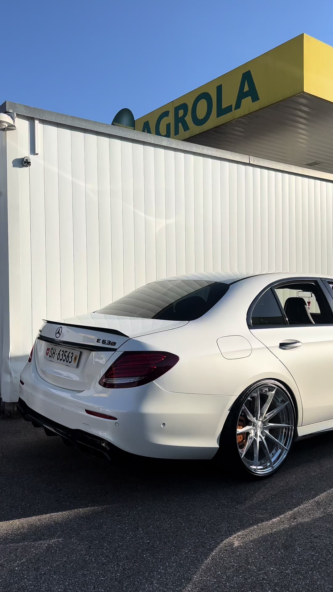 @whiteshark63s