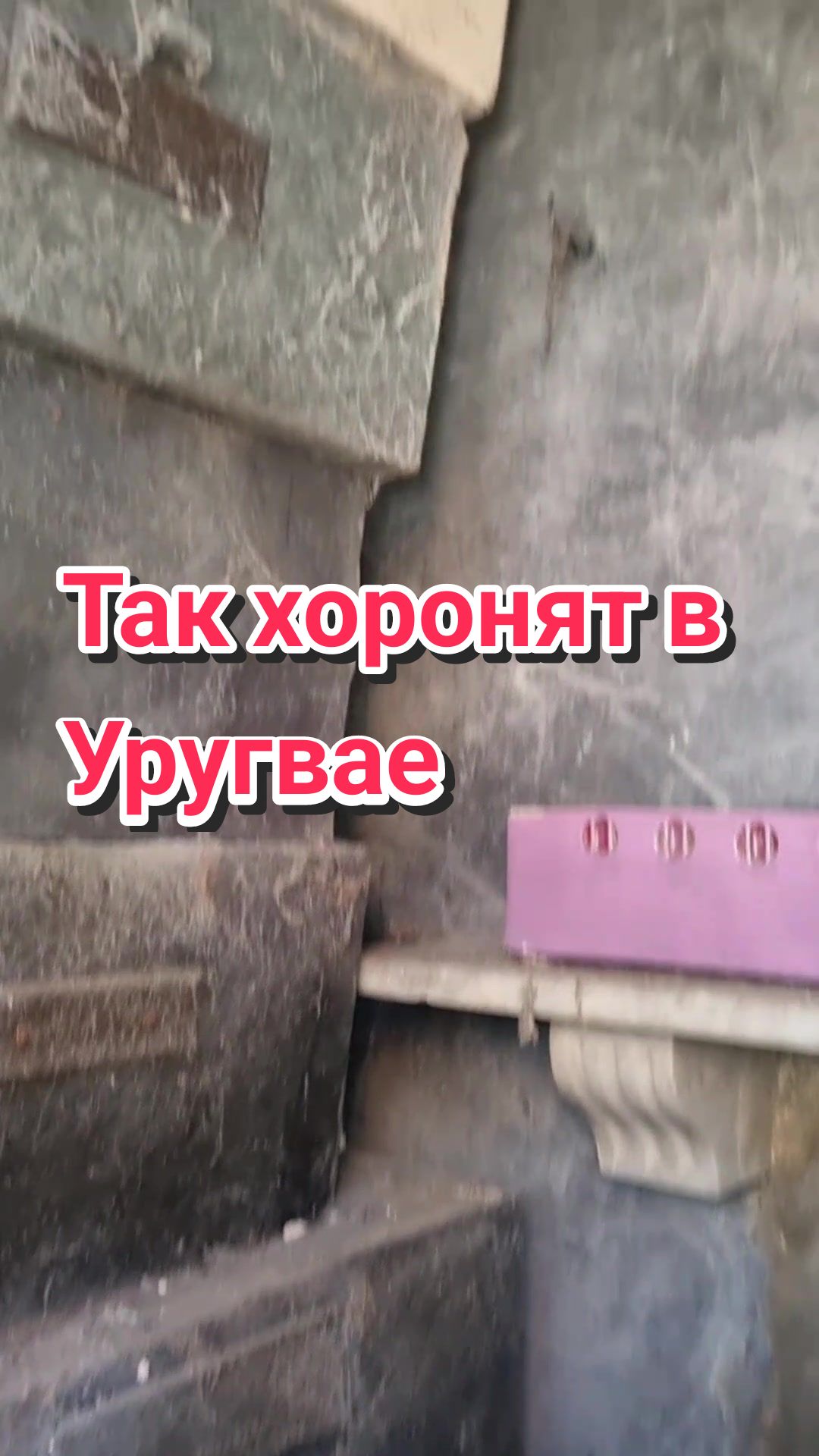 @Homatravel