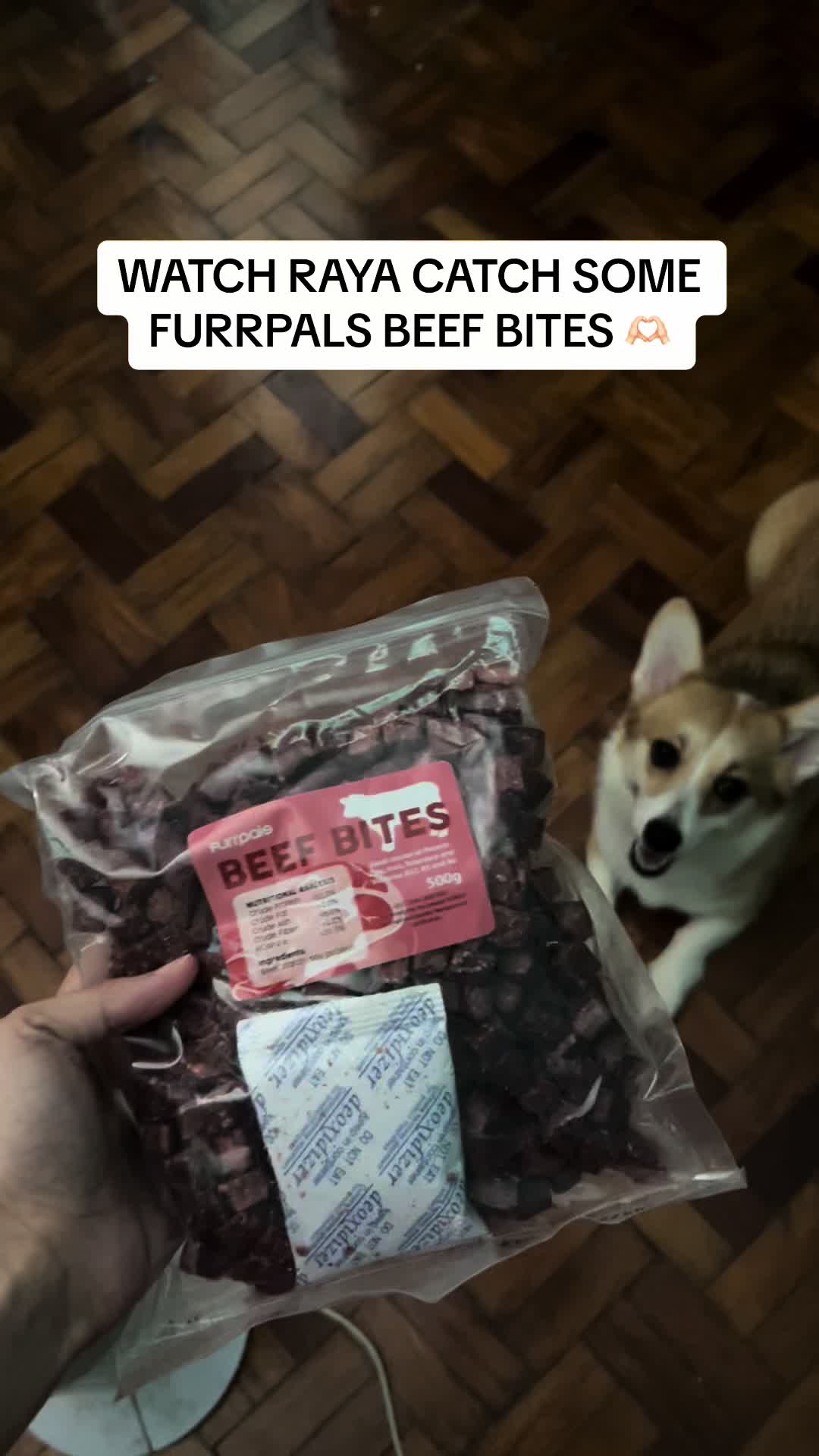 @Pau's&ensp;Pooches
