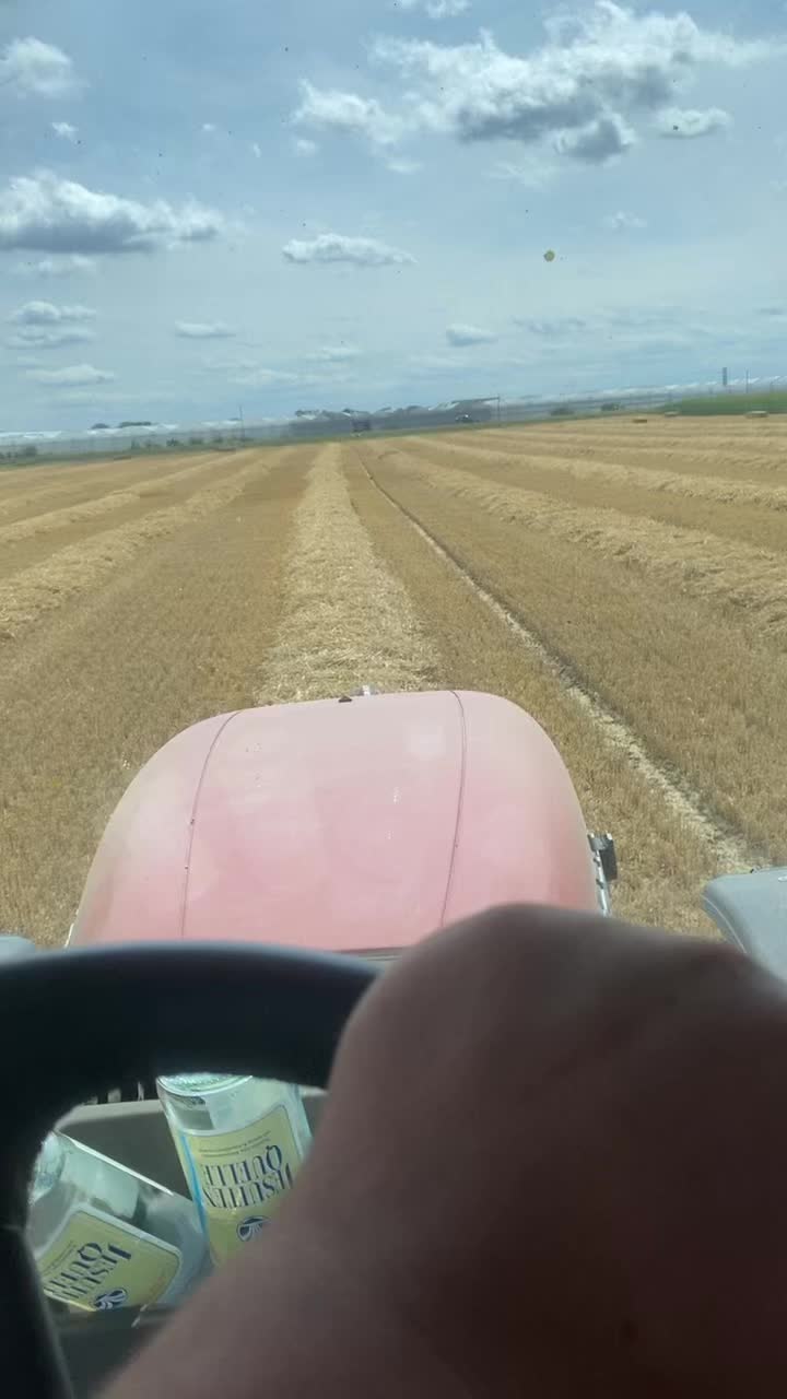 @FelixGro&szlig;