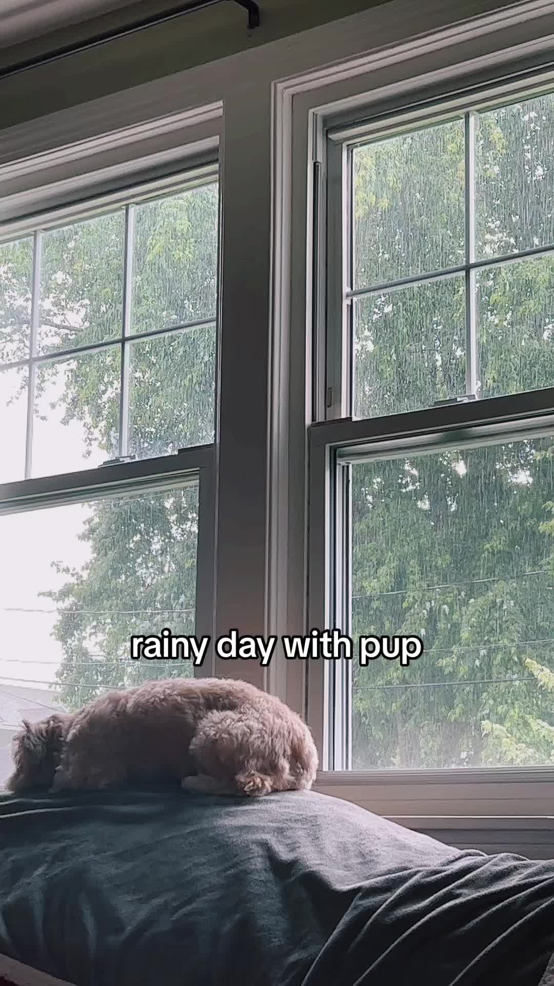 @iluv1ucy
