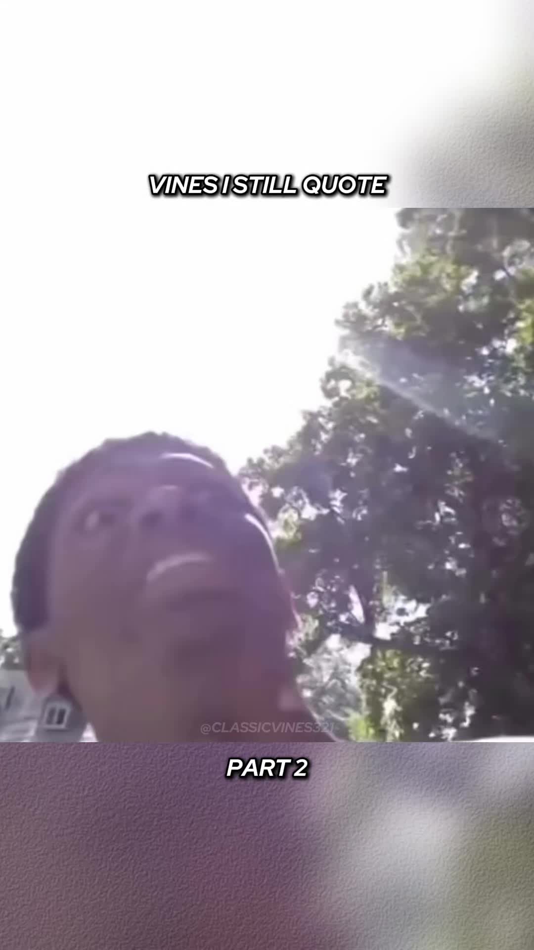 @Vine Nostalgia