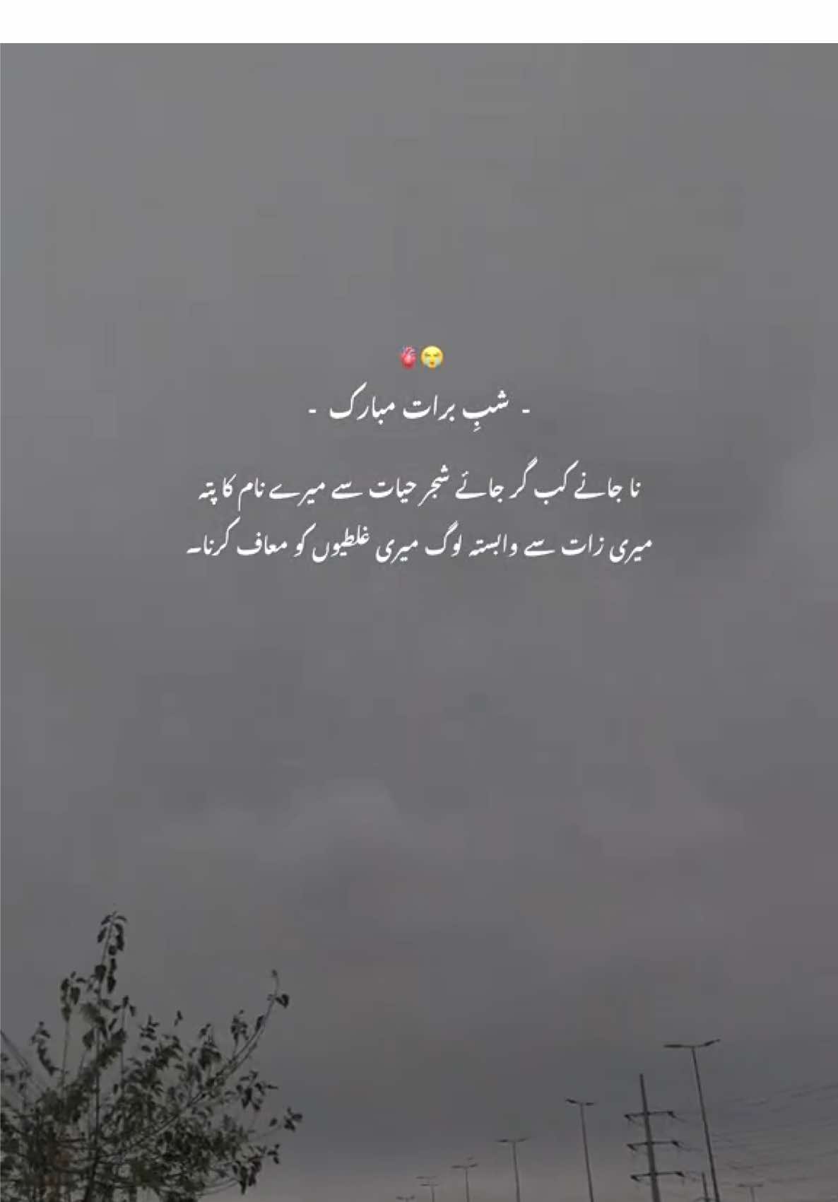 @𝗢𝗰𝗲𝘆𝗻𝘆𝗰