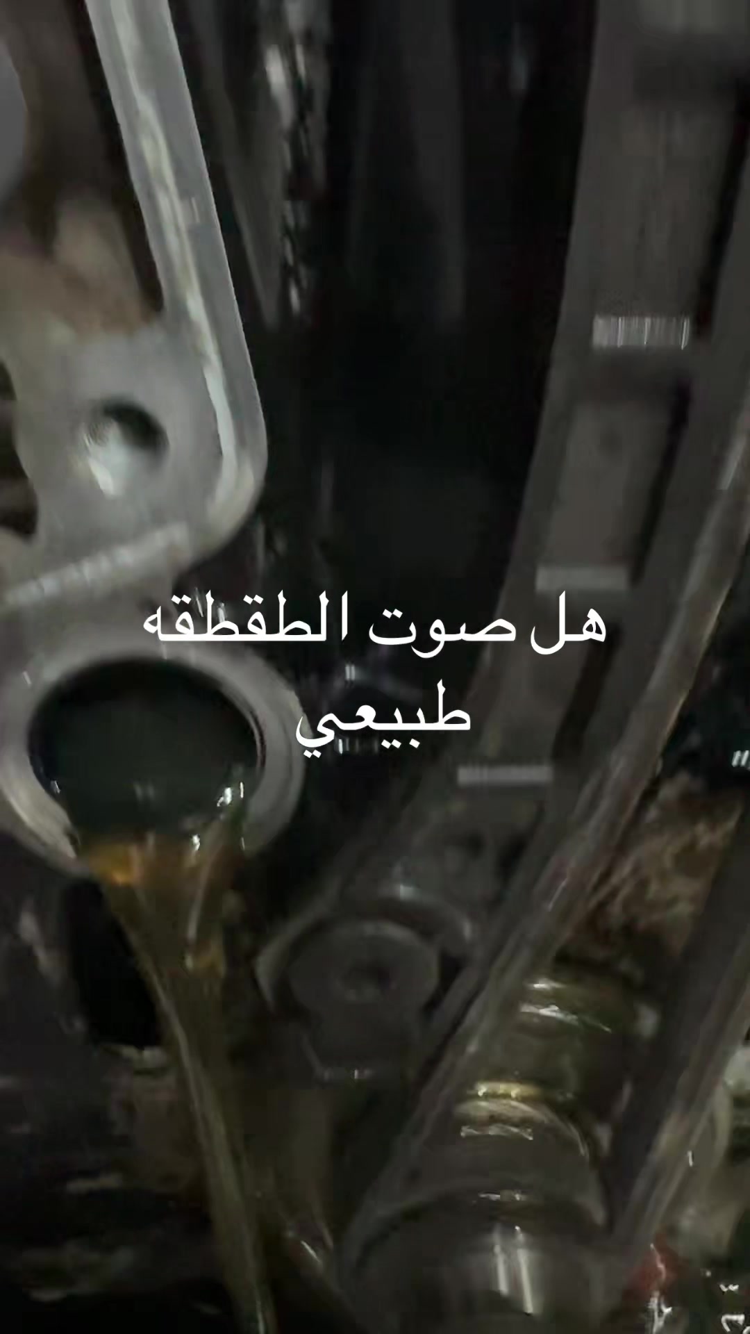 @مختار الكلمه