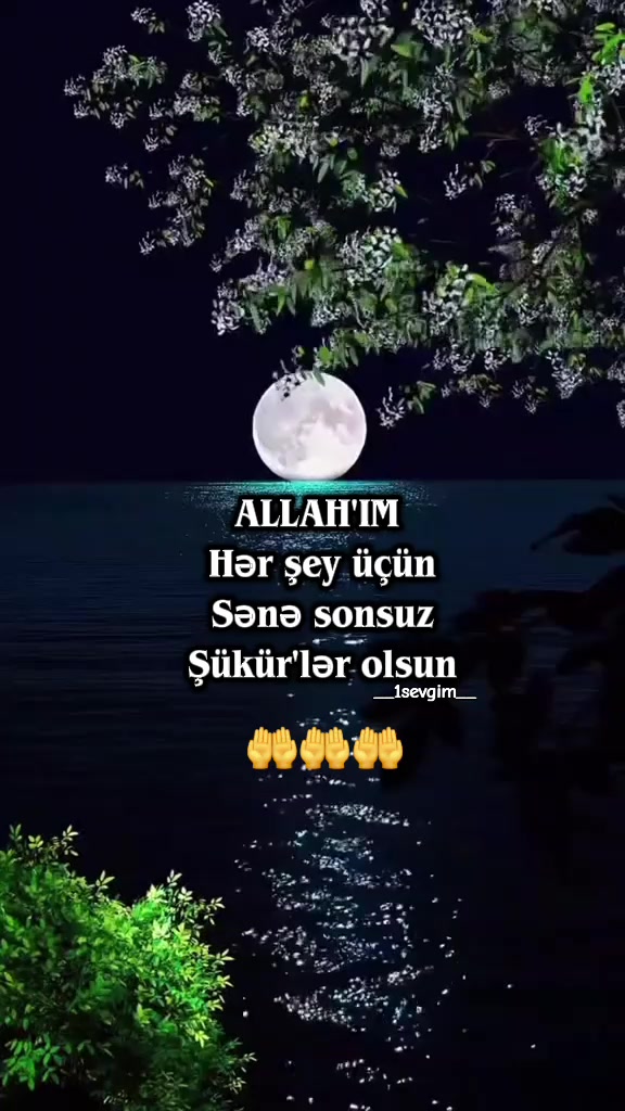 @⚜️𝙎𝙀𝙑𝙂İ𝙈⚜️