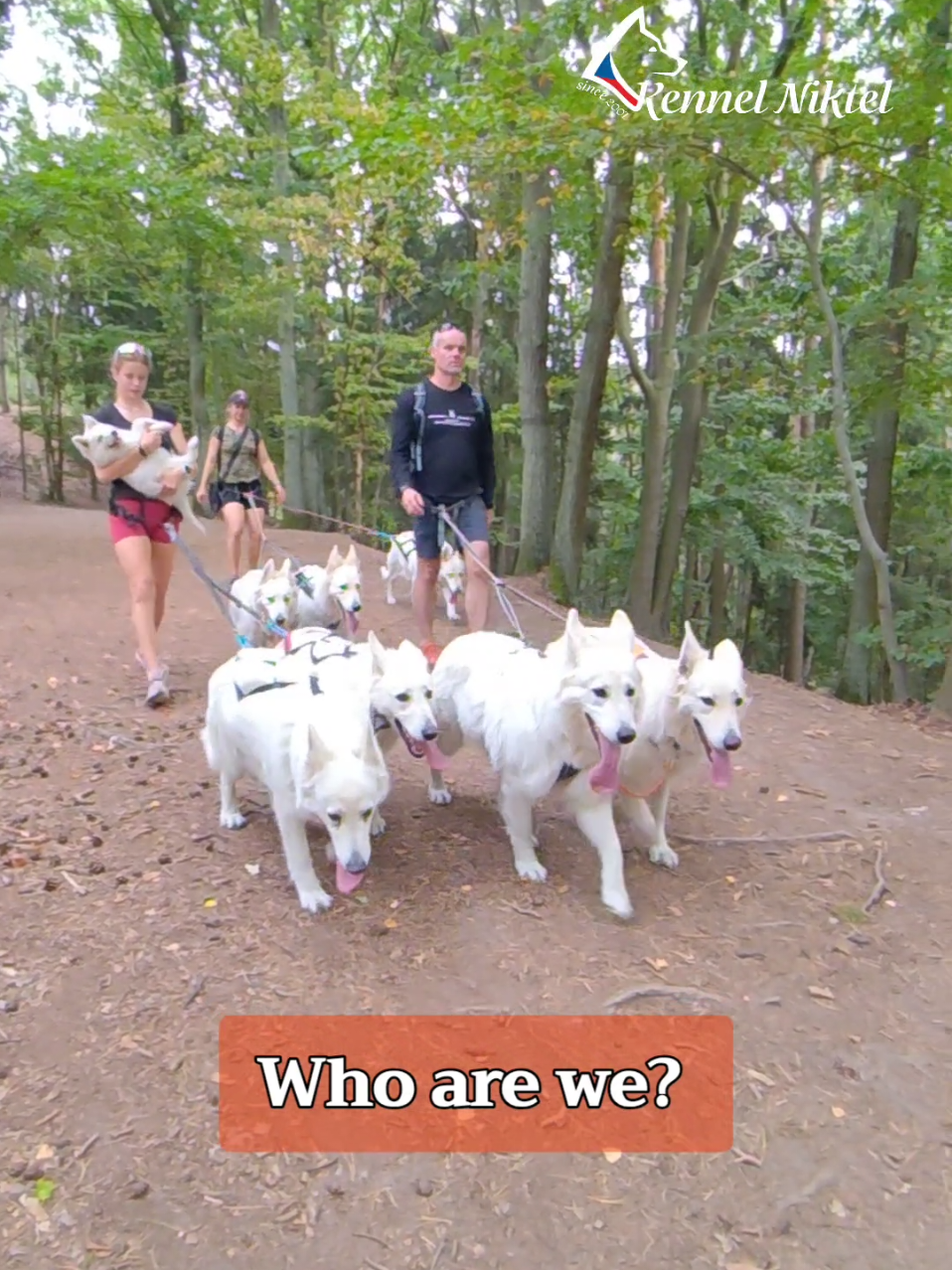 @Kennel Niktel
