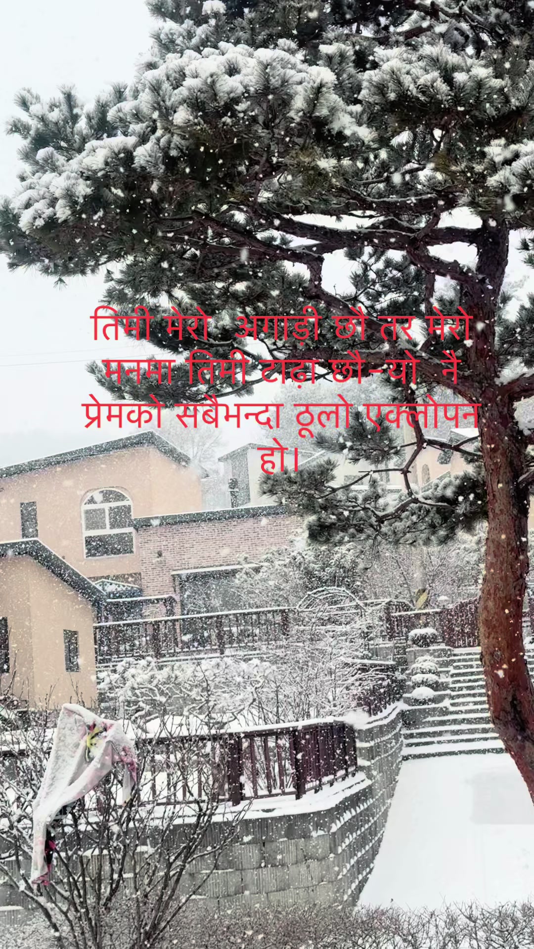 @Sumesh Prajapati 🇳🇵🇰🇷