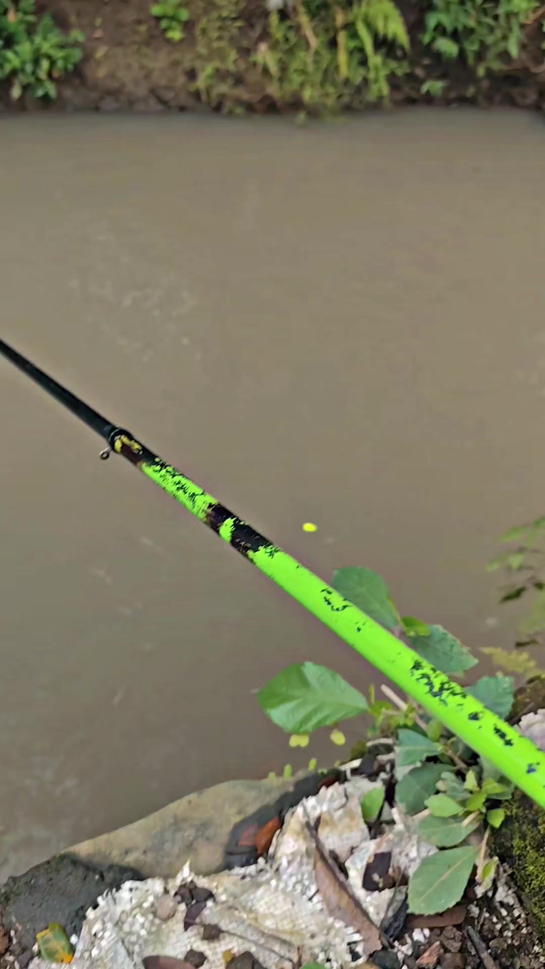 @Wader Hunter